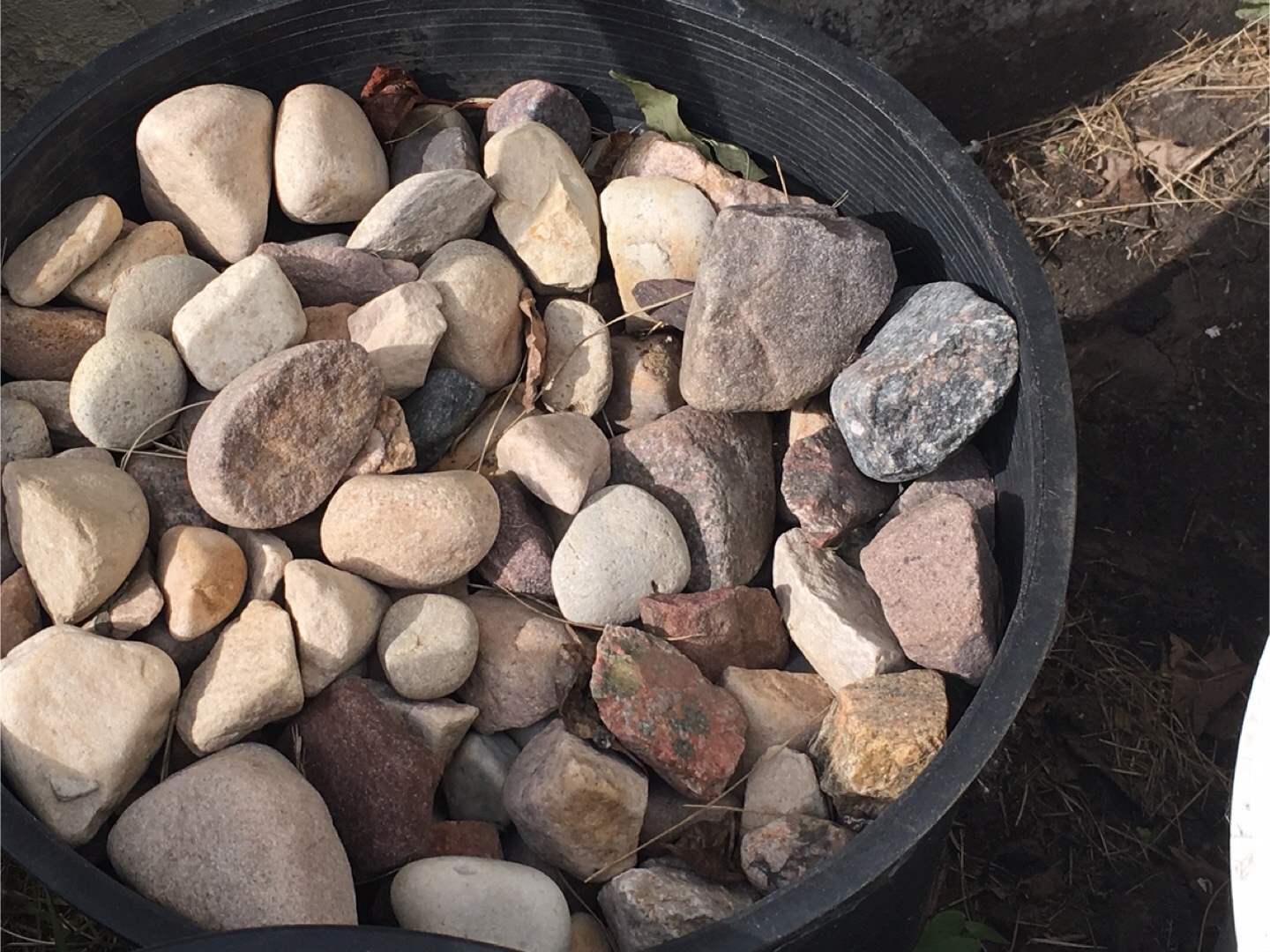 River rocks  ( $60 for all  7 pot of 5 gallon each)
