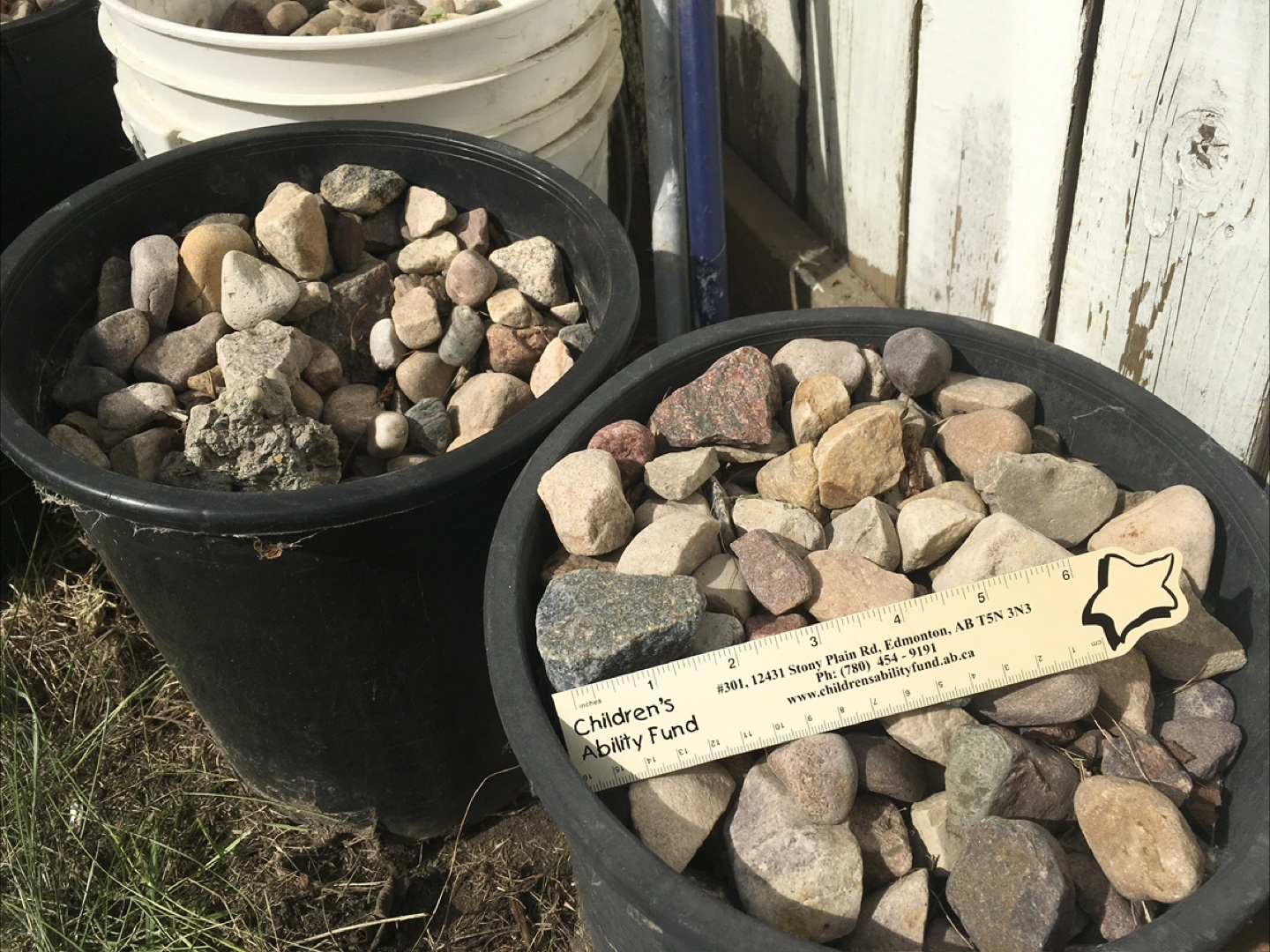 River rocks  ( $60 for all  7 pot of 5 gallon each) - photo 3