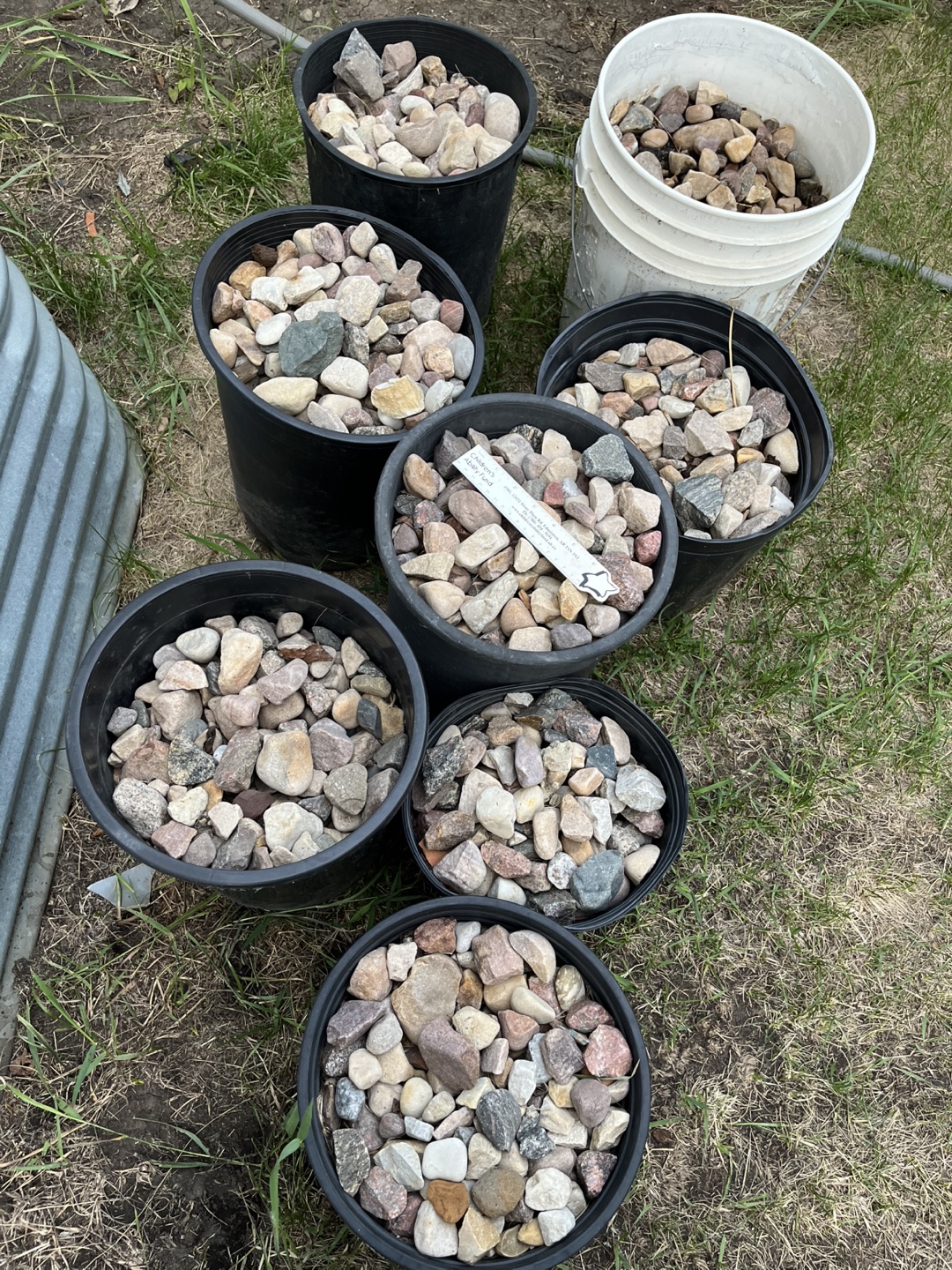 River rocks  ( $60 for all  7 pot of 5 gallon each) - photo 5