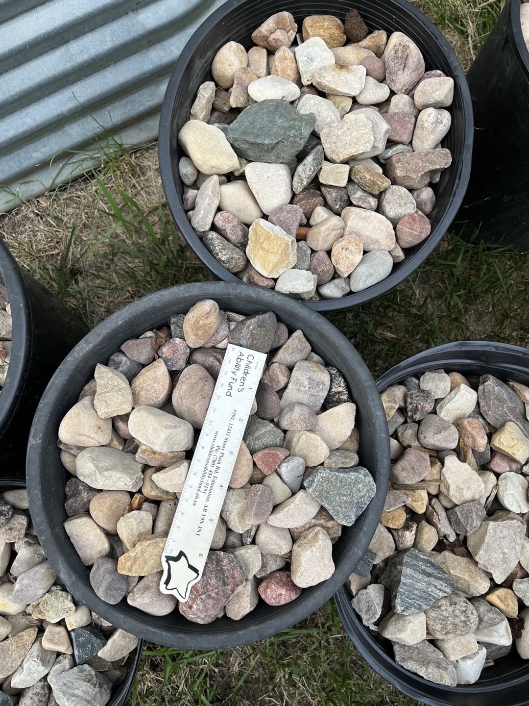 River rocks  ( $60 for all  7 pot of 5 gallon each) - photo 4