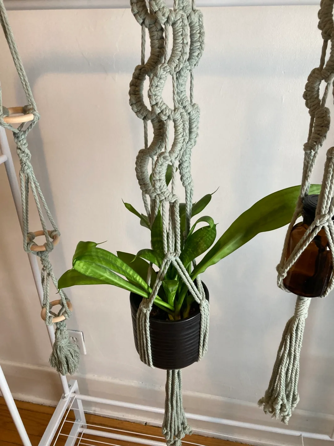 Handmade Macrame Plant Hanger set of 3 image indicator(4)