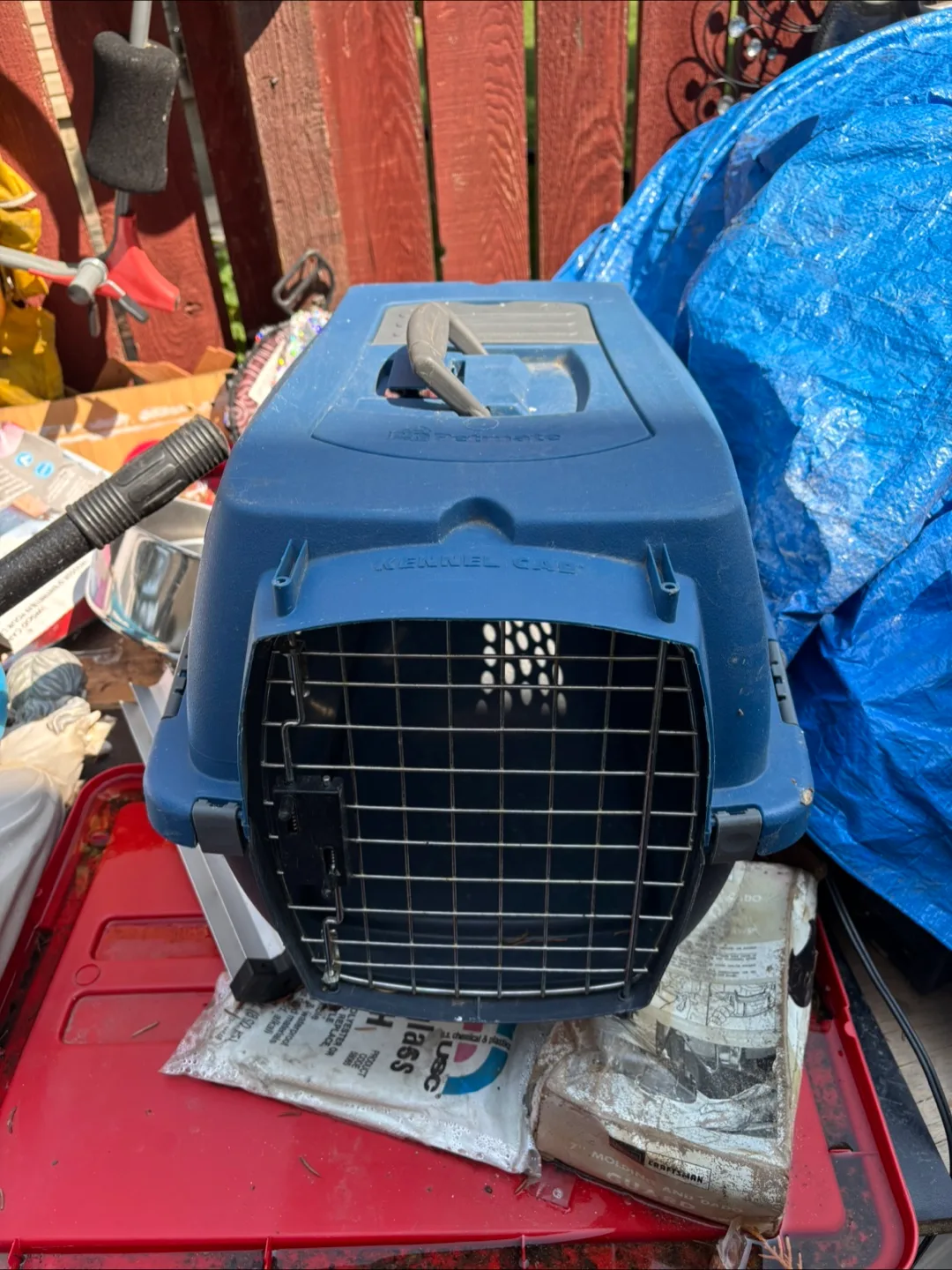 Blue Pet Carrier thumbnail