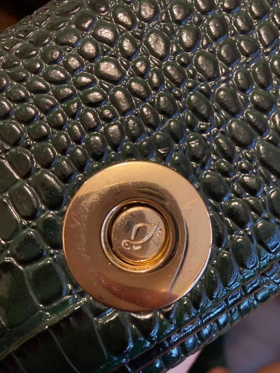 Dark Green Crocodile Wallet image indicator(4)