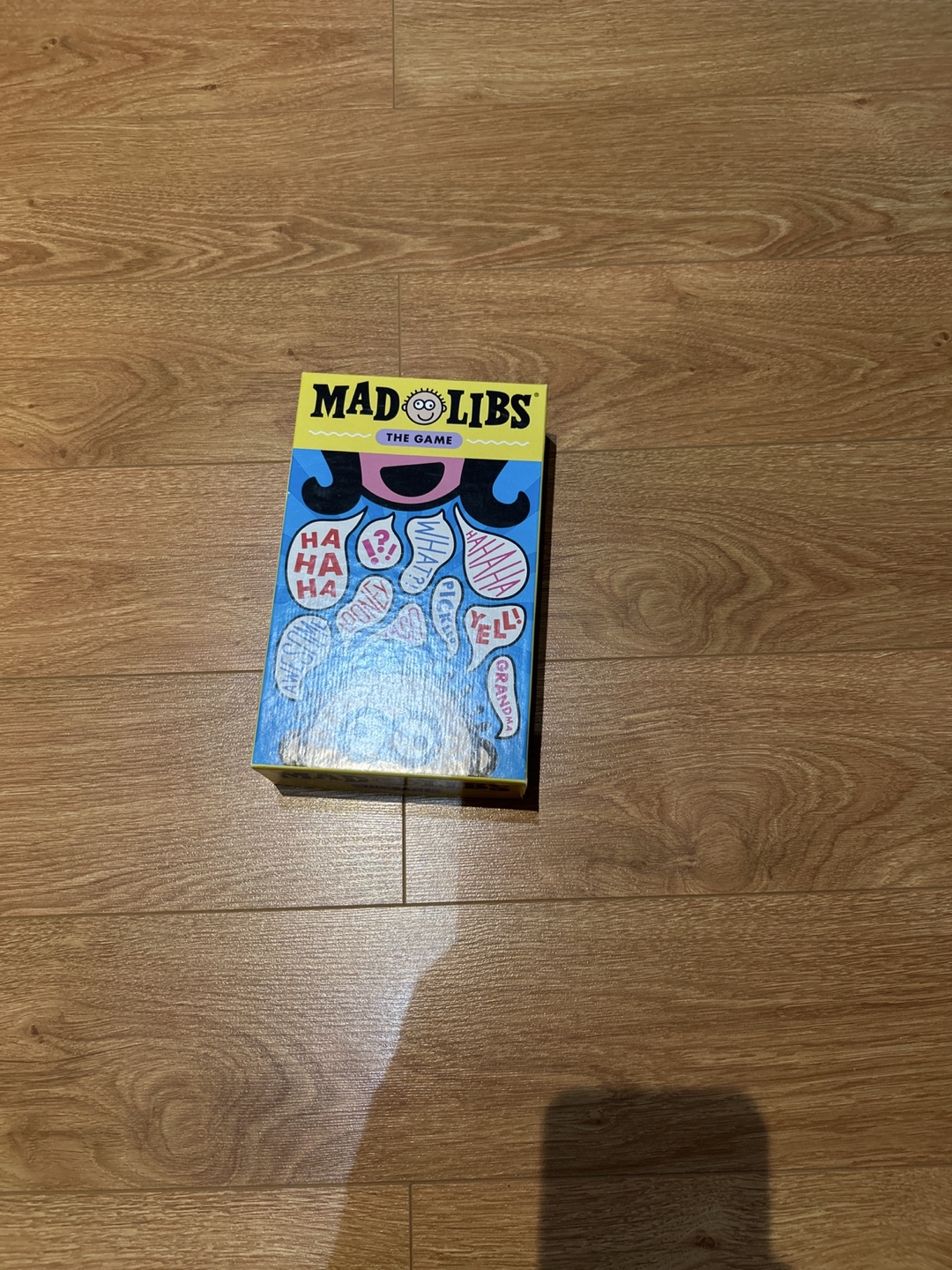 Mad Libs Game - photo 2