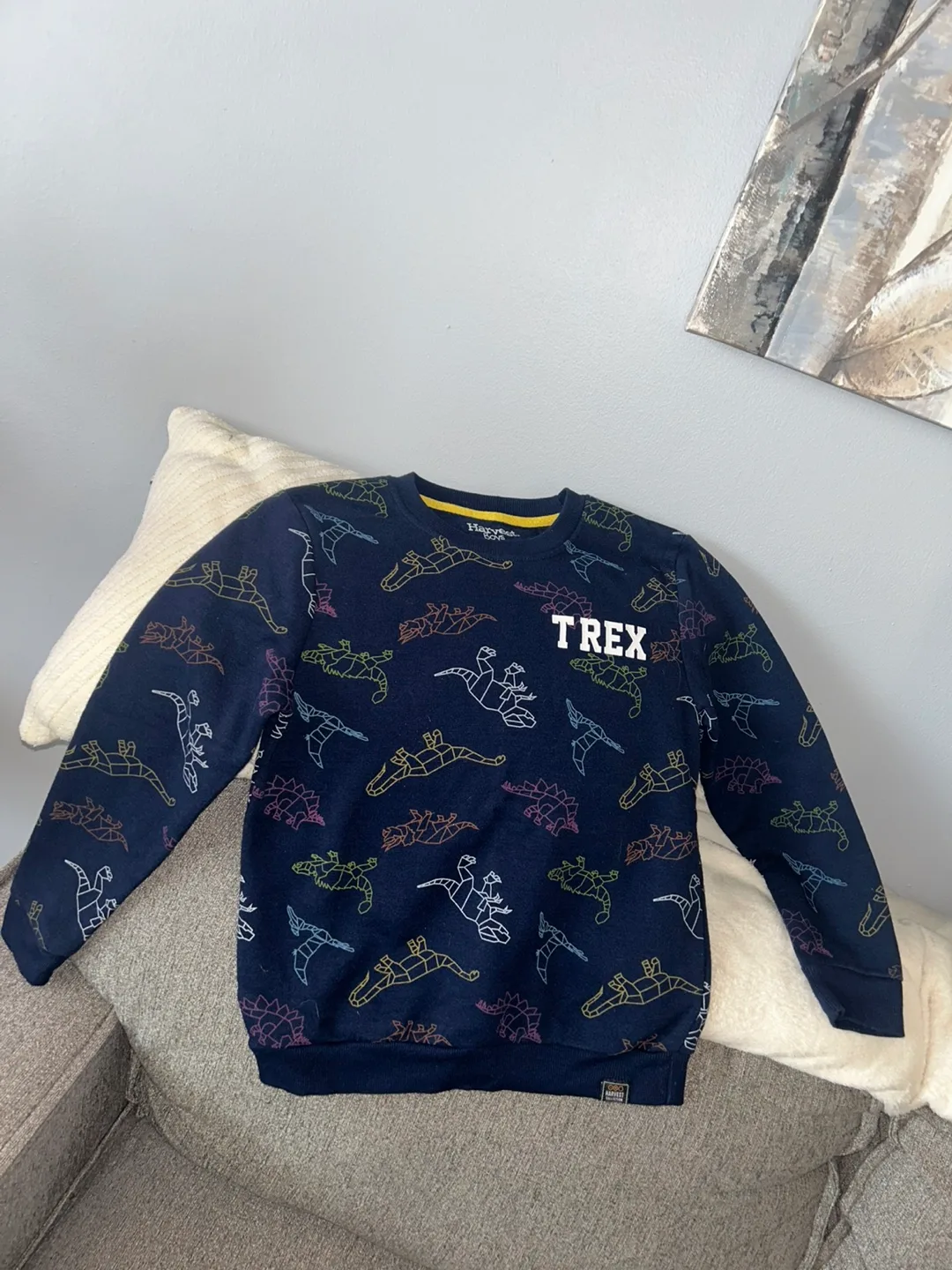 Boys Dinosaur print sweater thumbnail