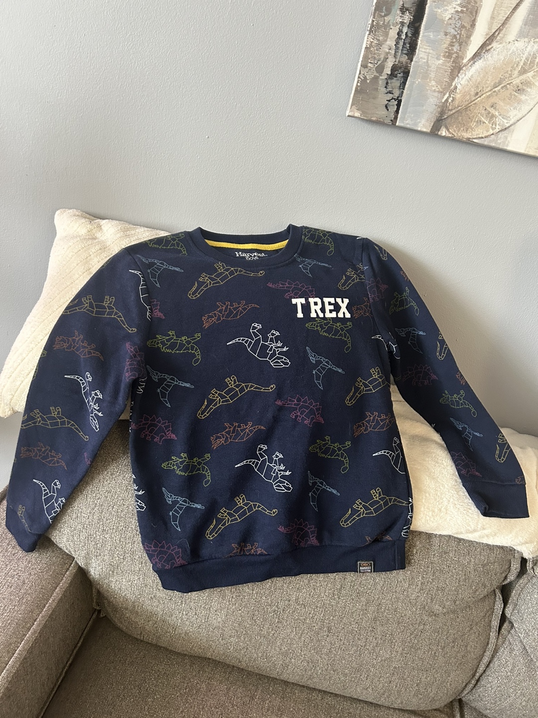 Boys Dinosaur print sweater - photo 2