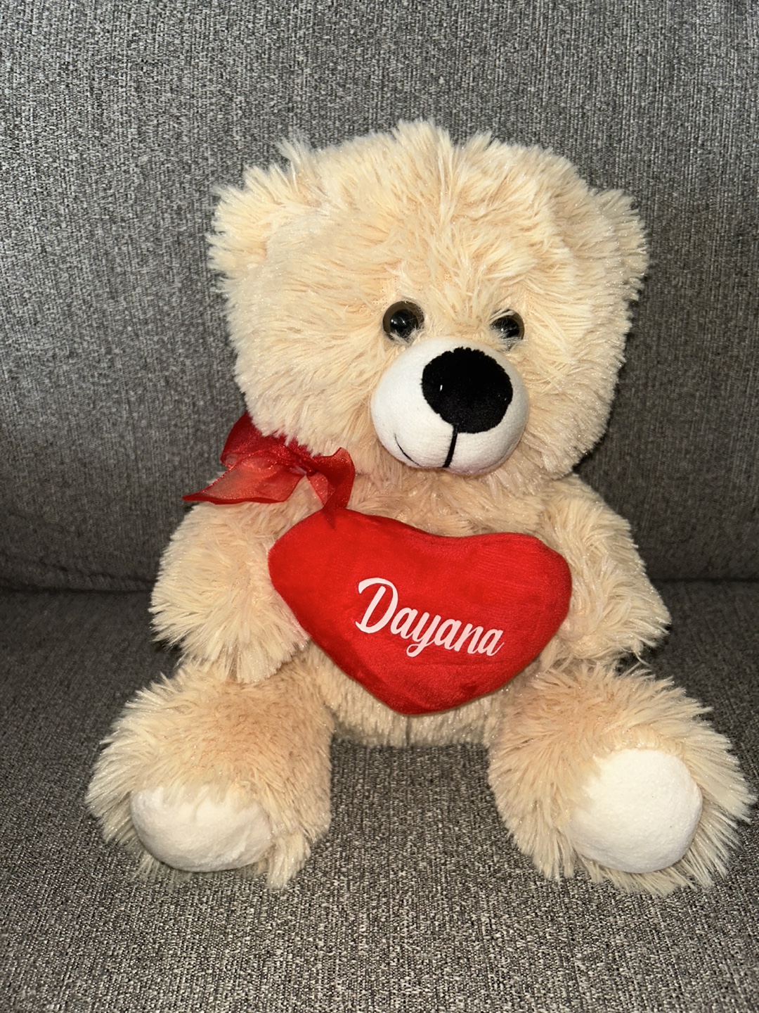 Teddy Bear with Heart - Dayana