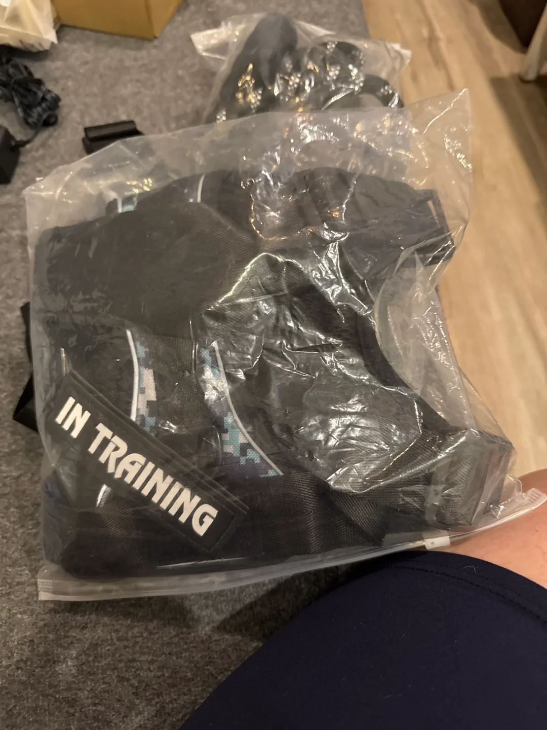 Service Dog Harness and Leash image indicator(3)