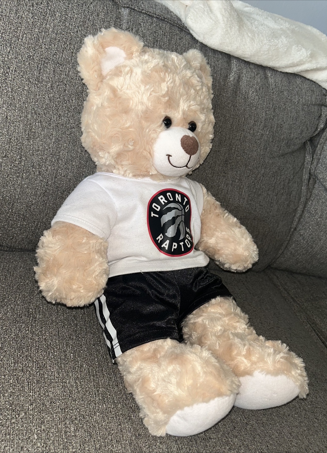 Toronto Raptors build the Bear Plushie - photo 2