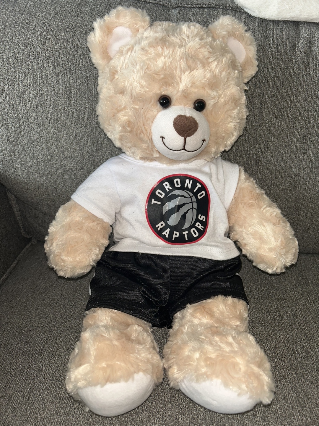 Toronto Raptors build the Bear Plushie