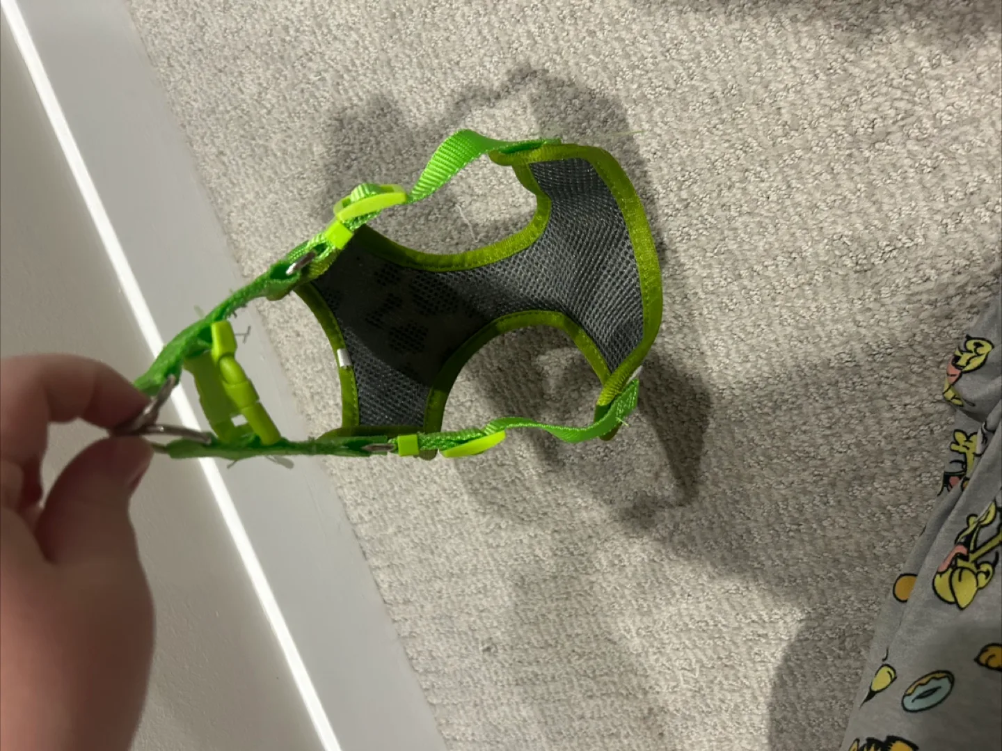 Dog Harness thumbnail