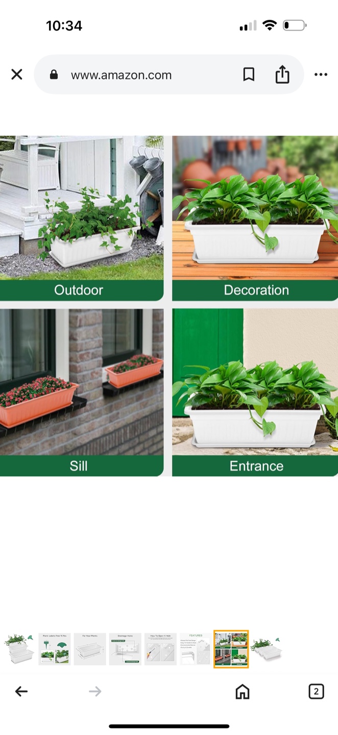 White Plant Planters with Labels 🥕 brand new