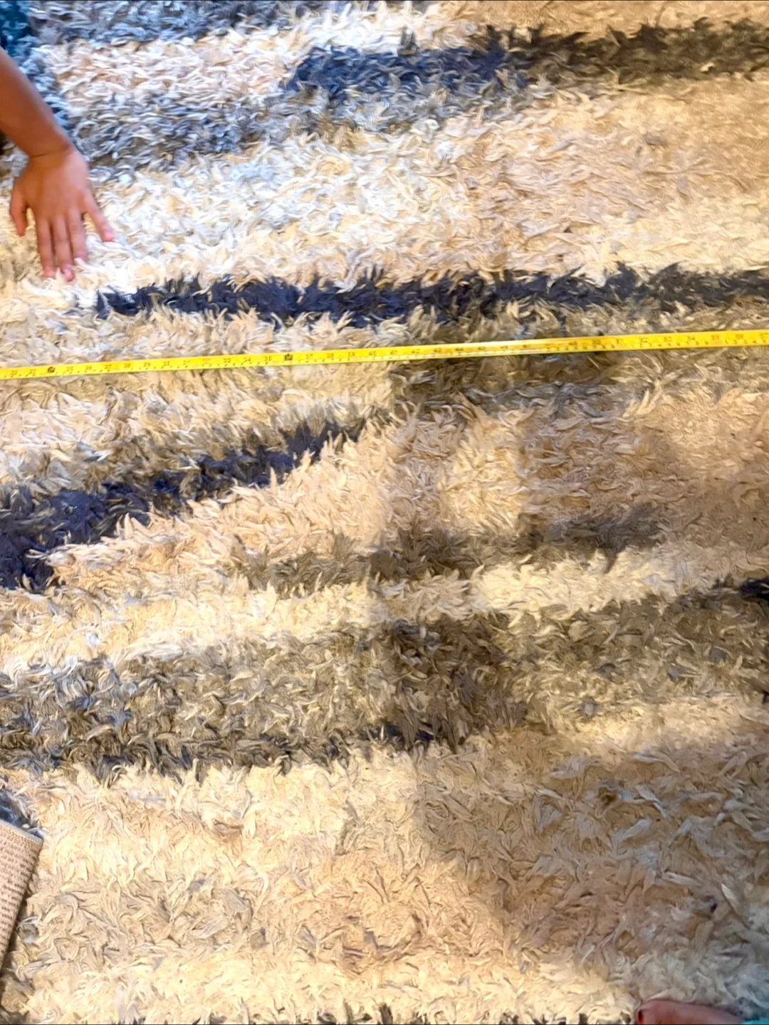 Shaggy Area Rug, Grey,blue & White image indicator(3)