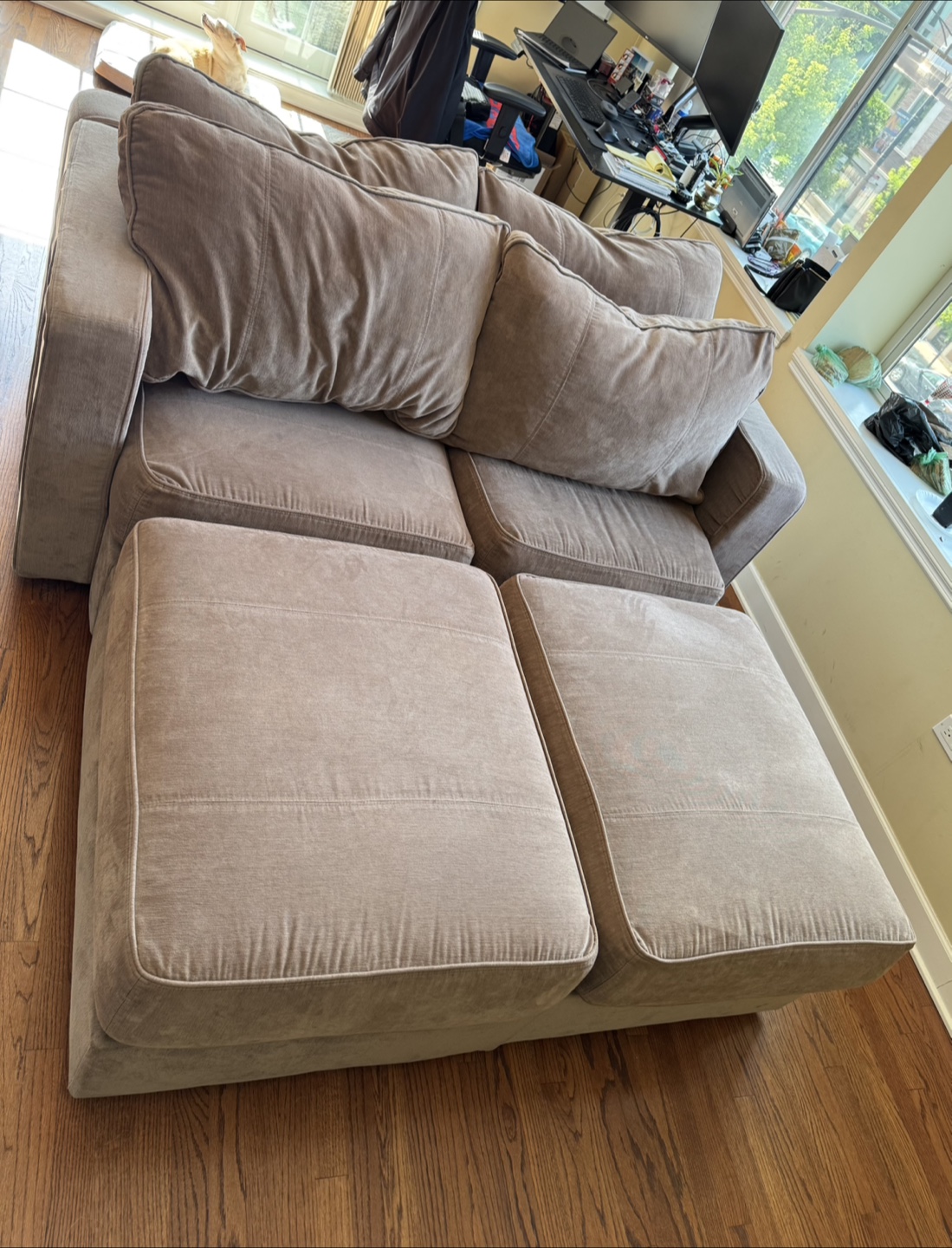 LoveSac Sectional Sofa