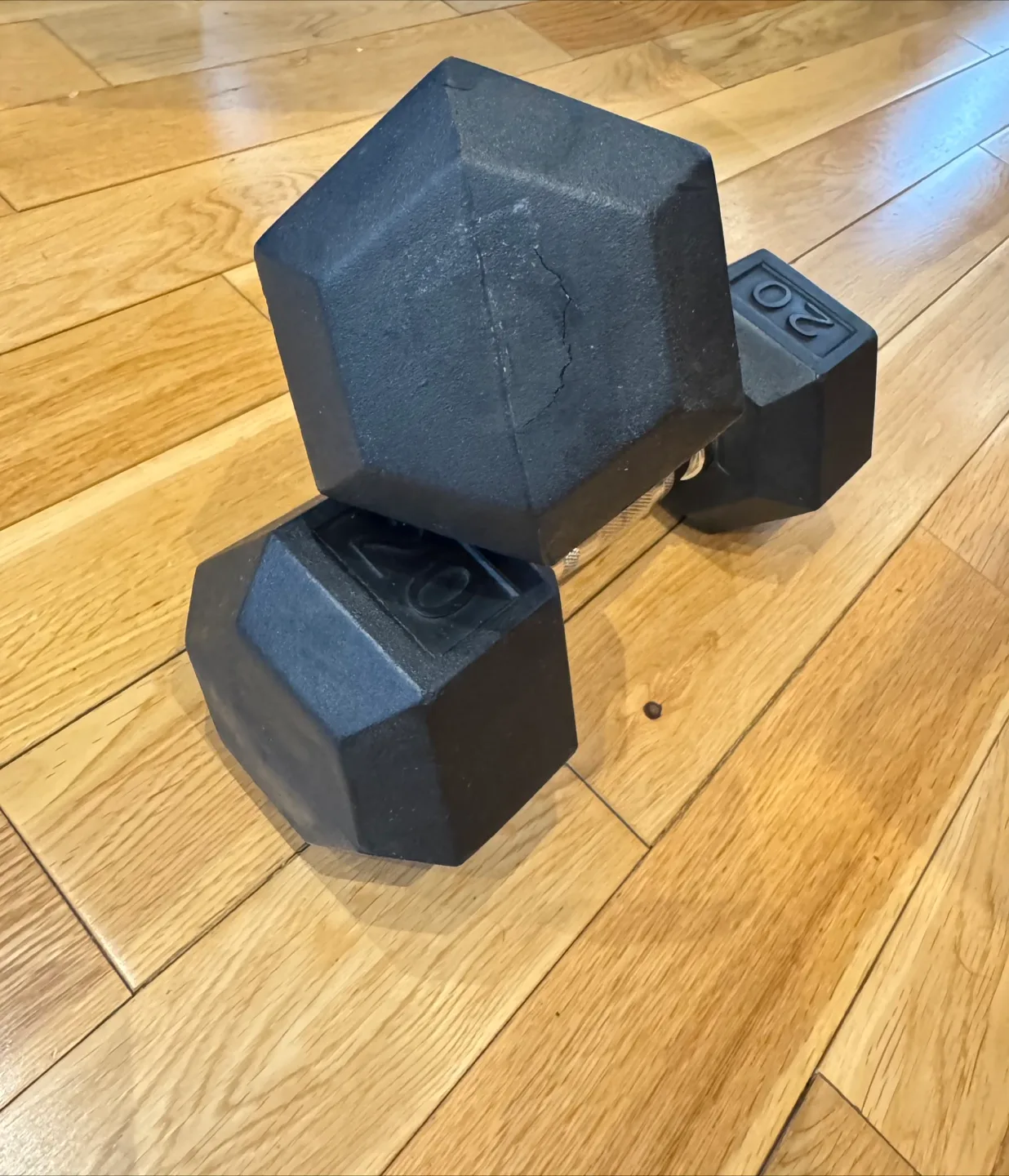 Pair of 20 LB Dumbbells image indicator(2)