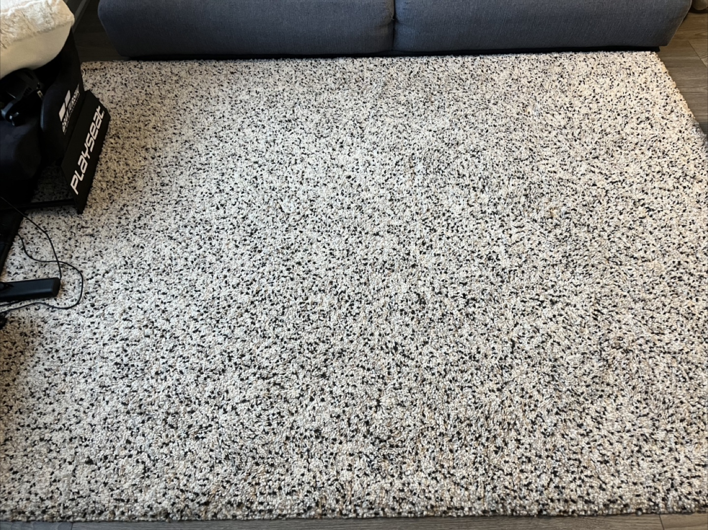 Neutral Shag Rug - photo 2