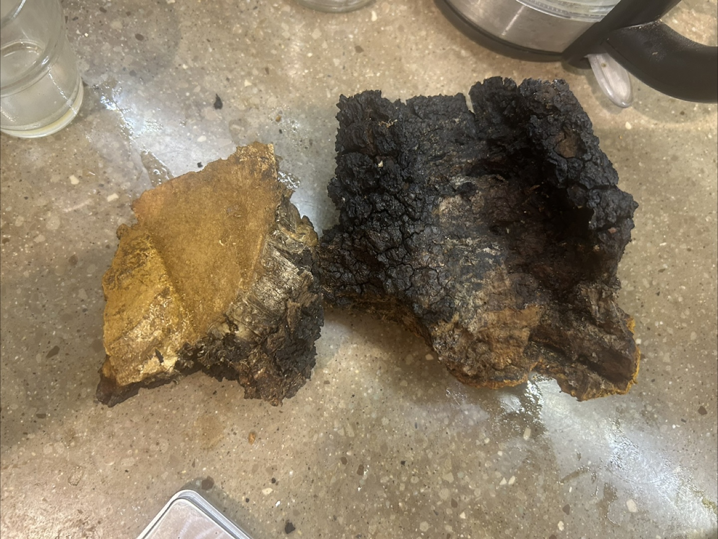 Wild Harvested Chaga Mushroom - photo 5
