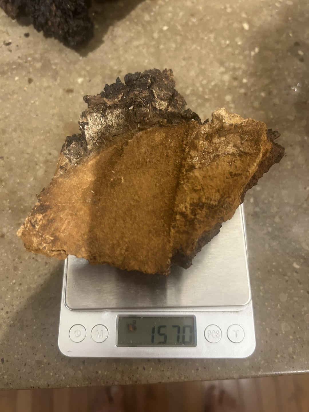 Wild Harvested Chaga Mushroom - photo 2