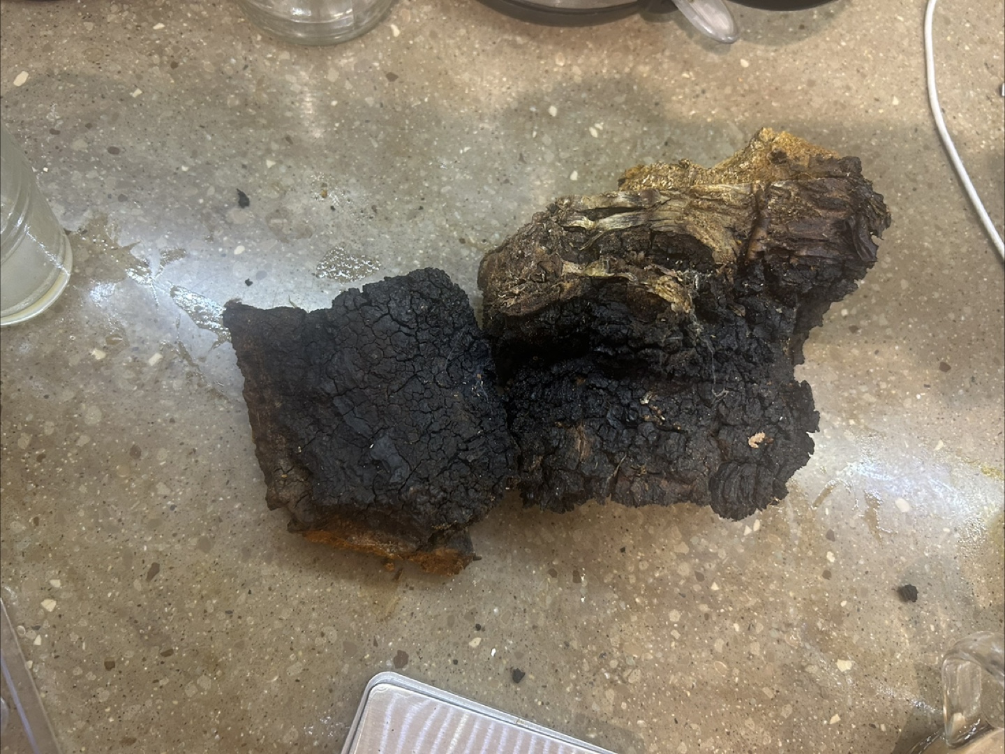 Wild Harvested Chaga Mushroom - photo 4