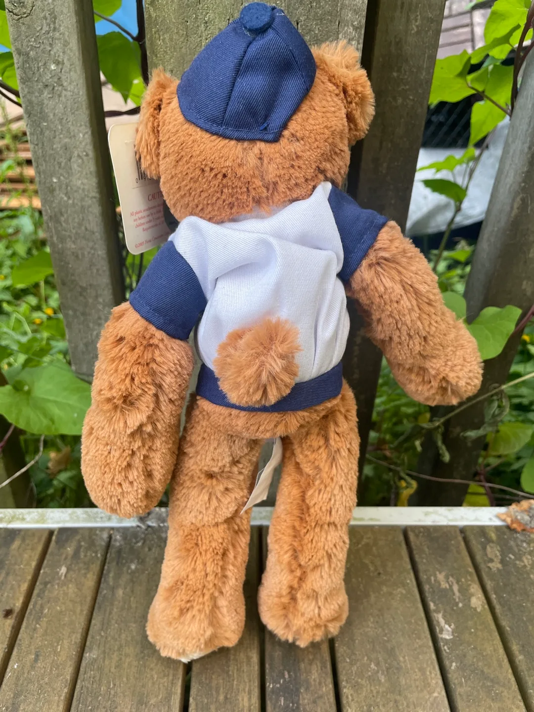 Boston Red Sox MLB Plush Bear new tags image indicator(3)