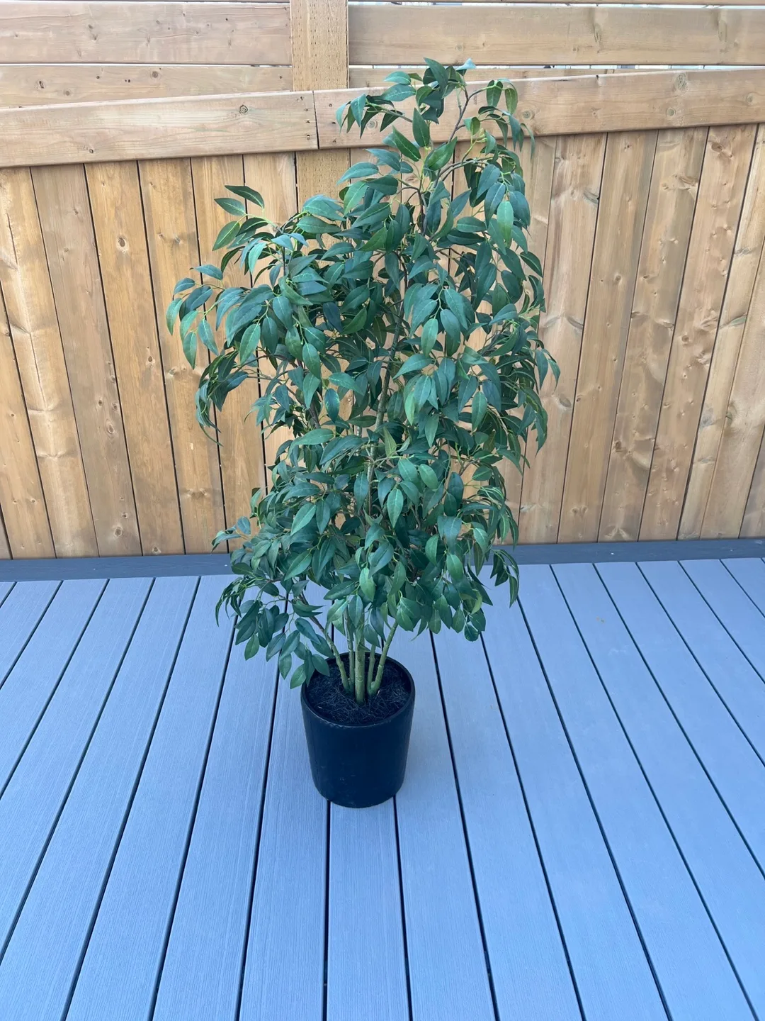 Artificial Plant thumbnail