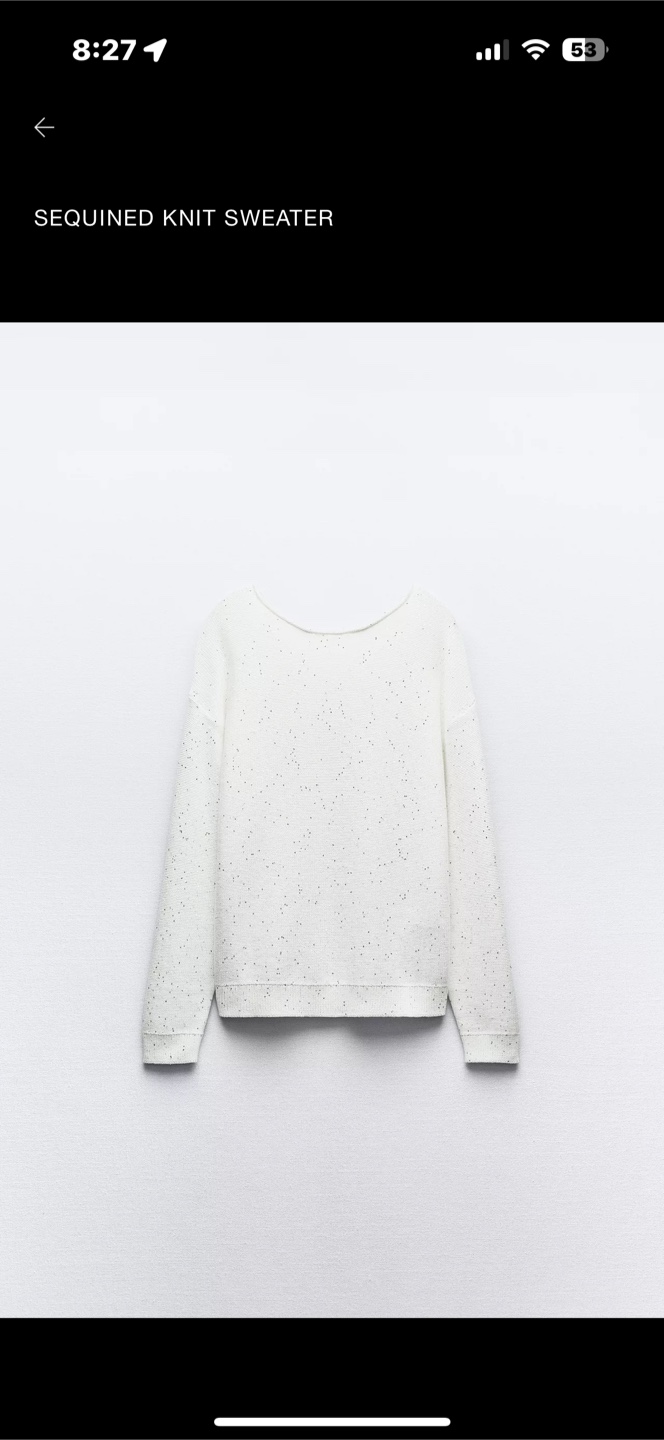 Zara Sequin Knit Sweater