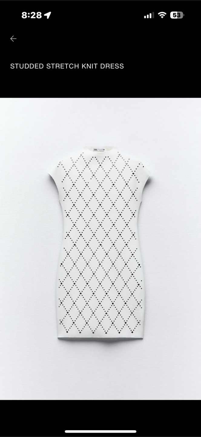 Zara Studded Stretch Knit Dress
