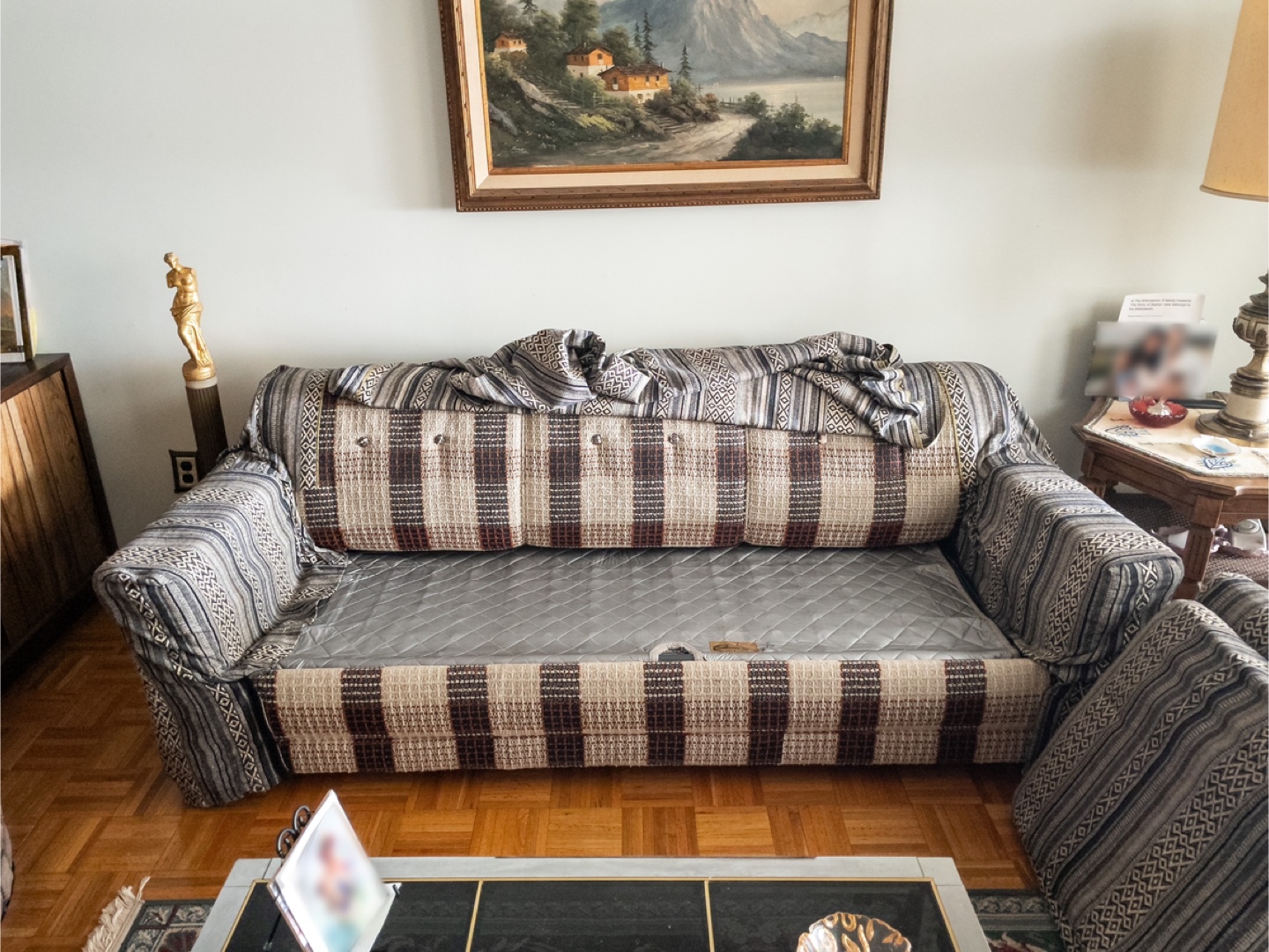 Sleeper Sofa with Pull-Out Bed Frame - photo 3