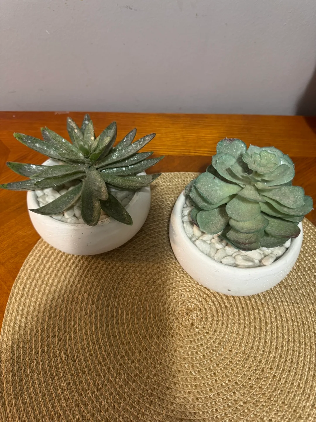 Artificial Succulents in White Pots - Set of 2 thumbnail
