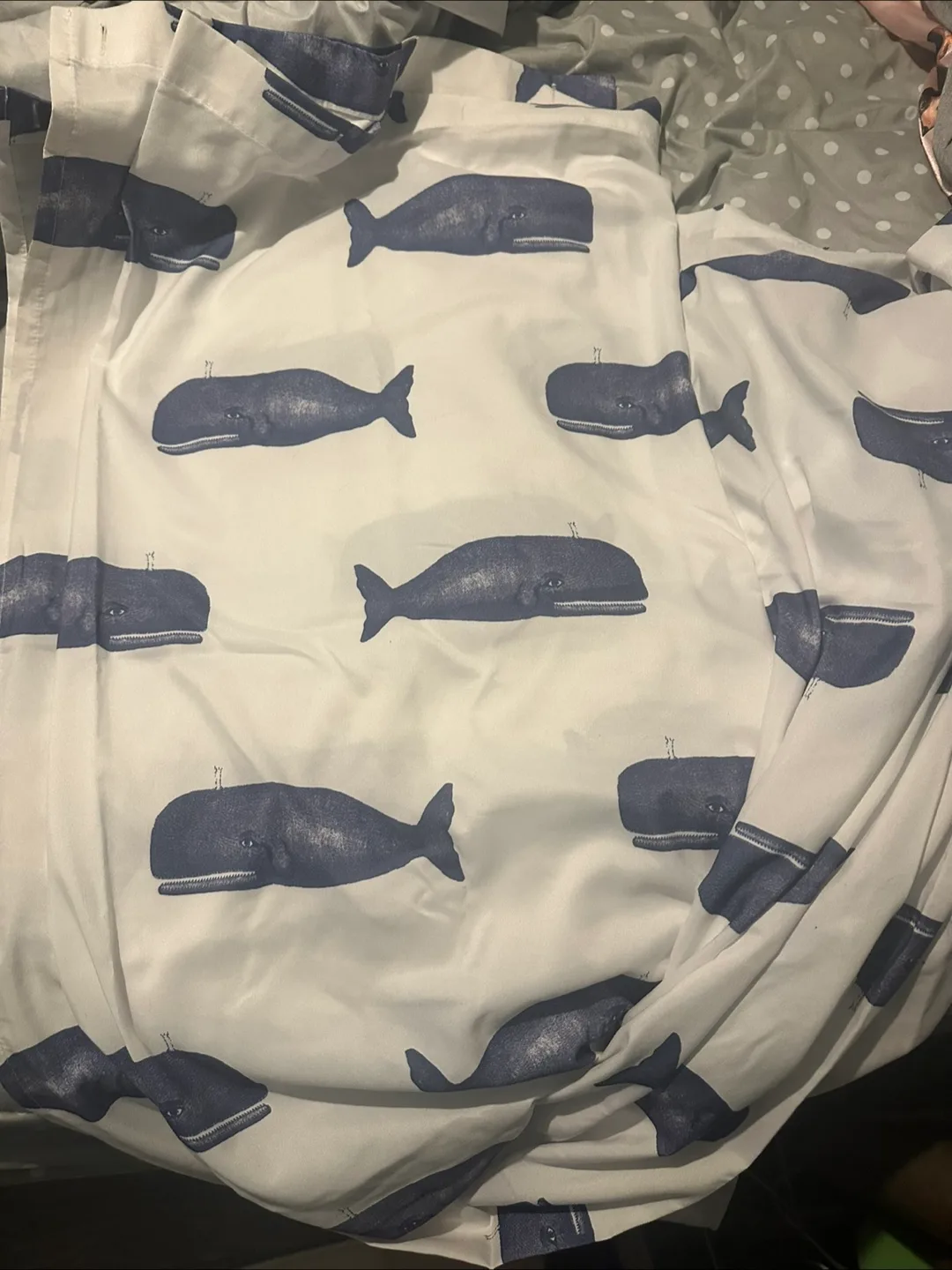 Whale Print shower Curtain thumbnail