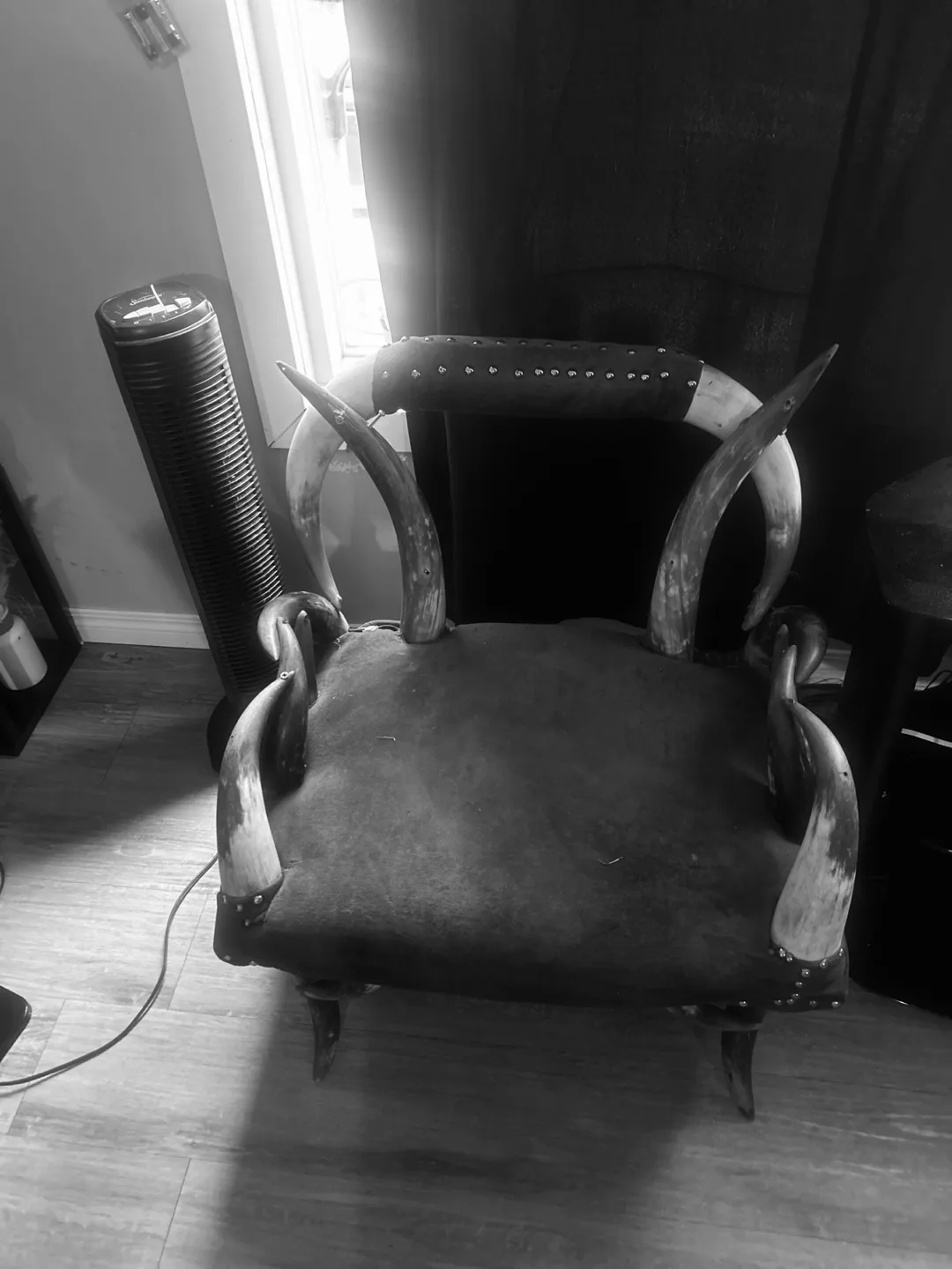 Unique Horned Armchair 🥕 thumbnail