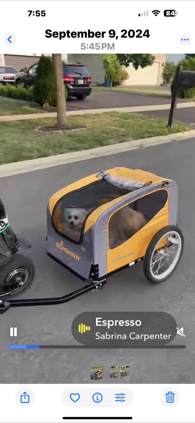 Schwinn Rascal Pet Bike Trailer - Yellow/Gray - photo 5