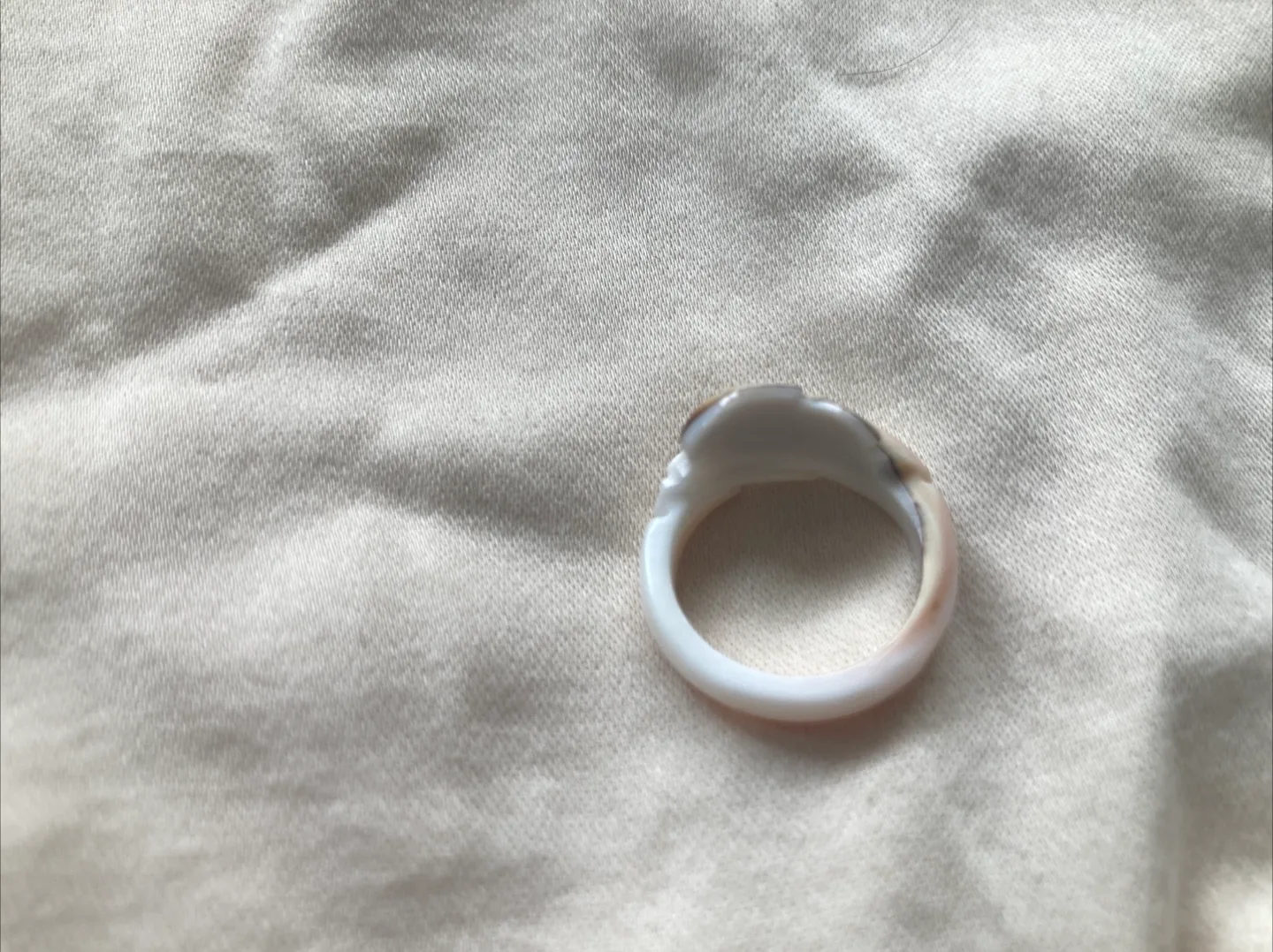 shell ring image indicator(5)