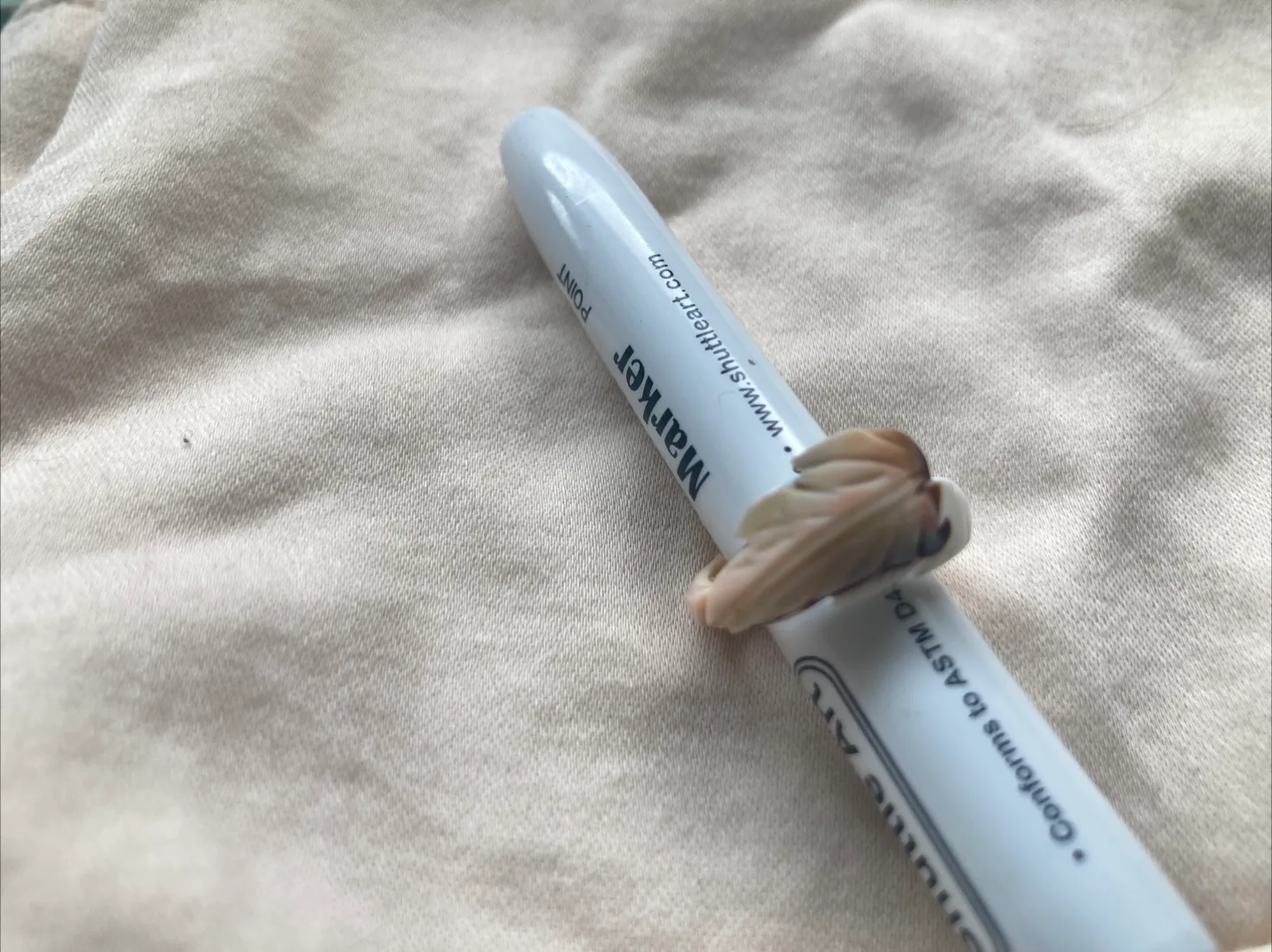 shell ring image indicator(2)