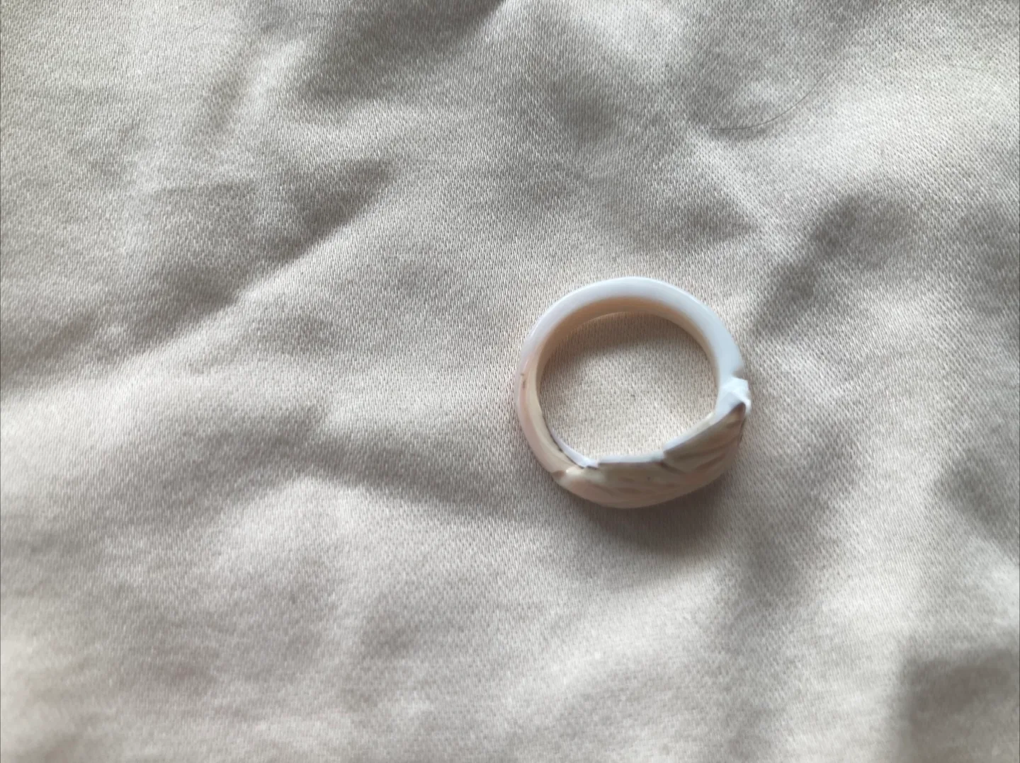 shell ring image indicator(6)