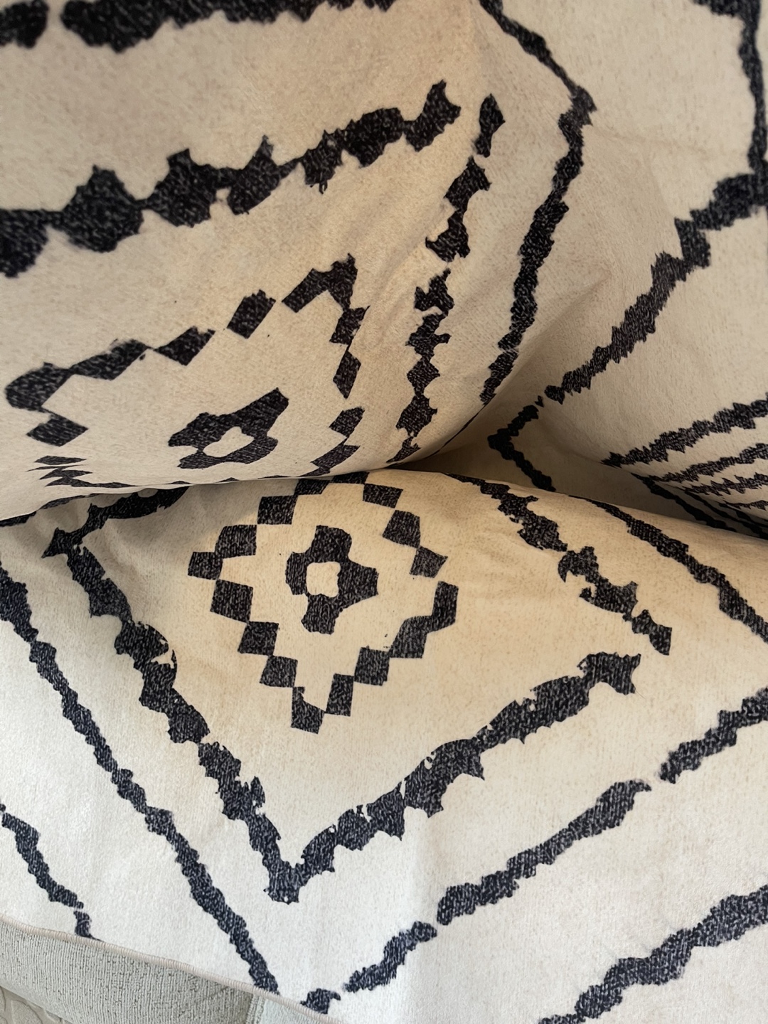 Patterned Area Rug 5/7- Cream & Black - photo 2