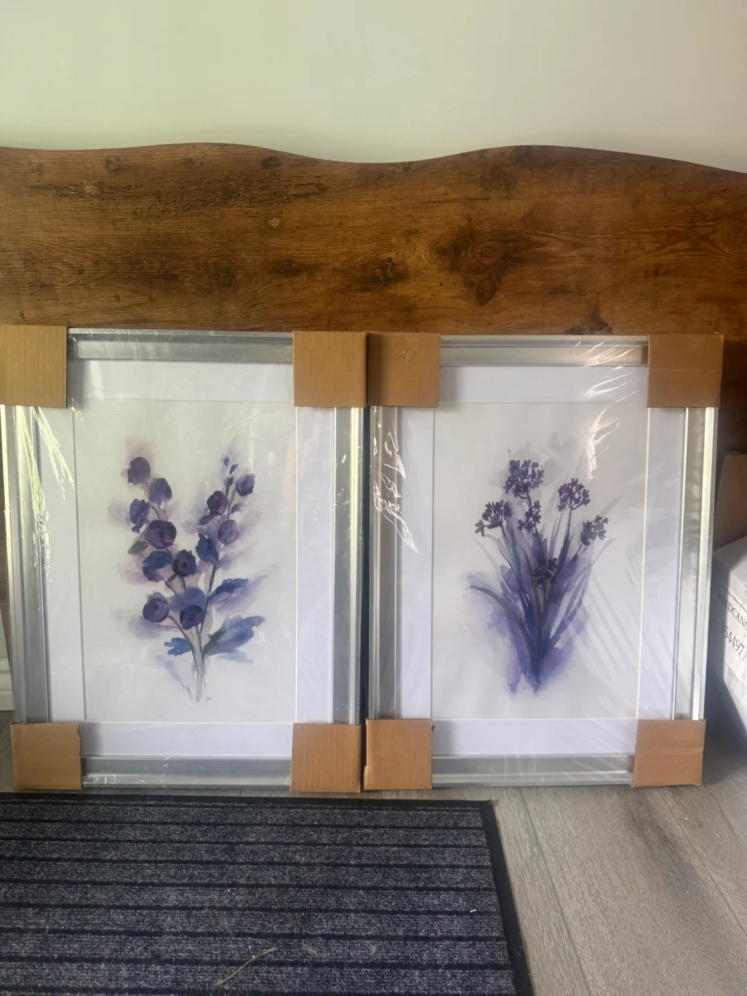 Pair of Paintings Silver Frames thumbnail