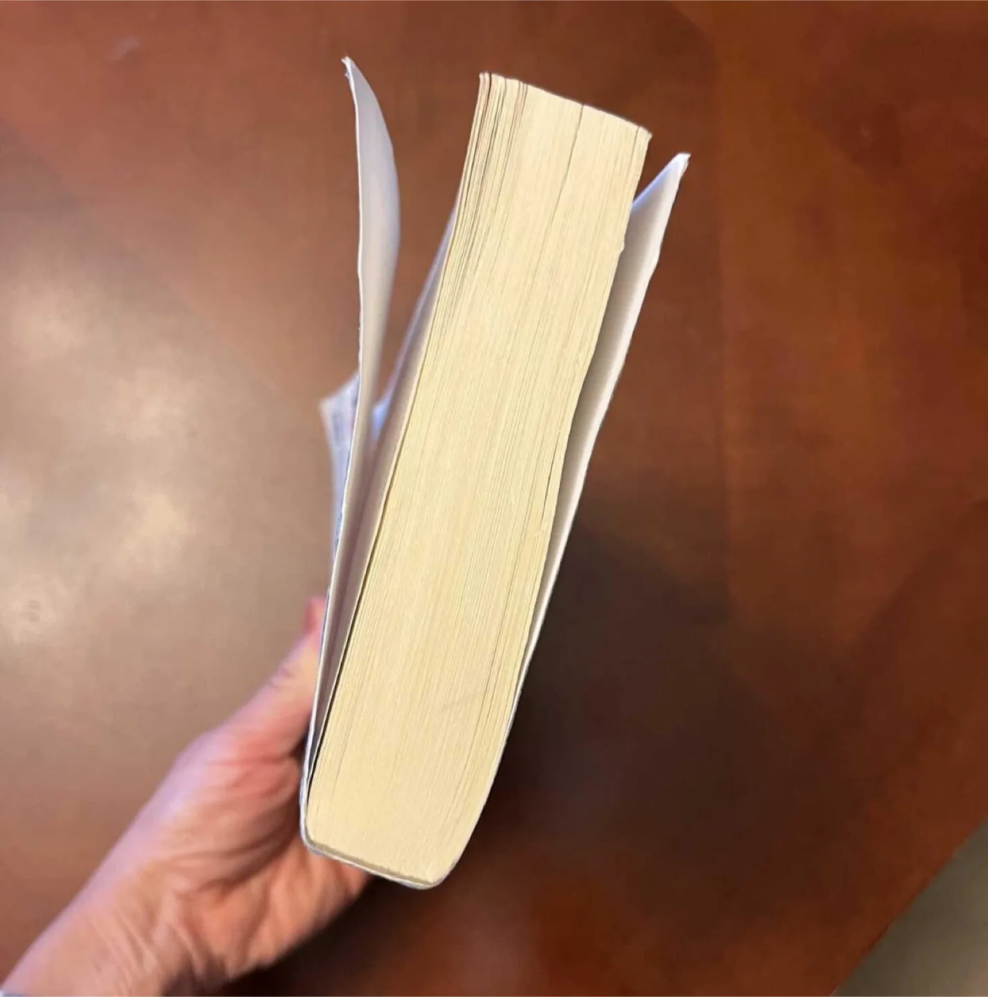 Iona Iverson’s Rules for Commuting by Clare Pooley (paperback) image indicator(2)