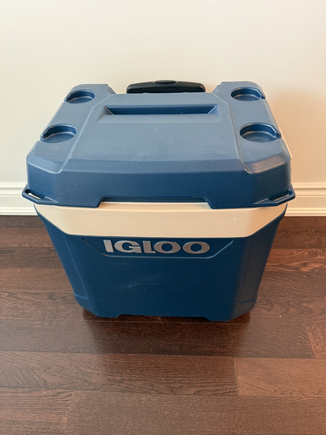 IGLOO COOLER