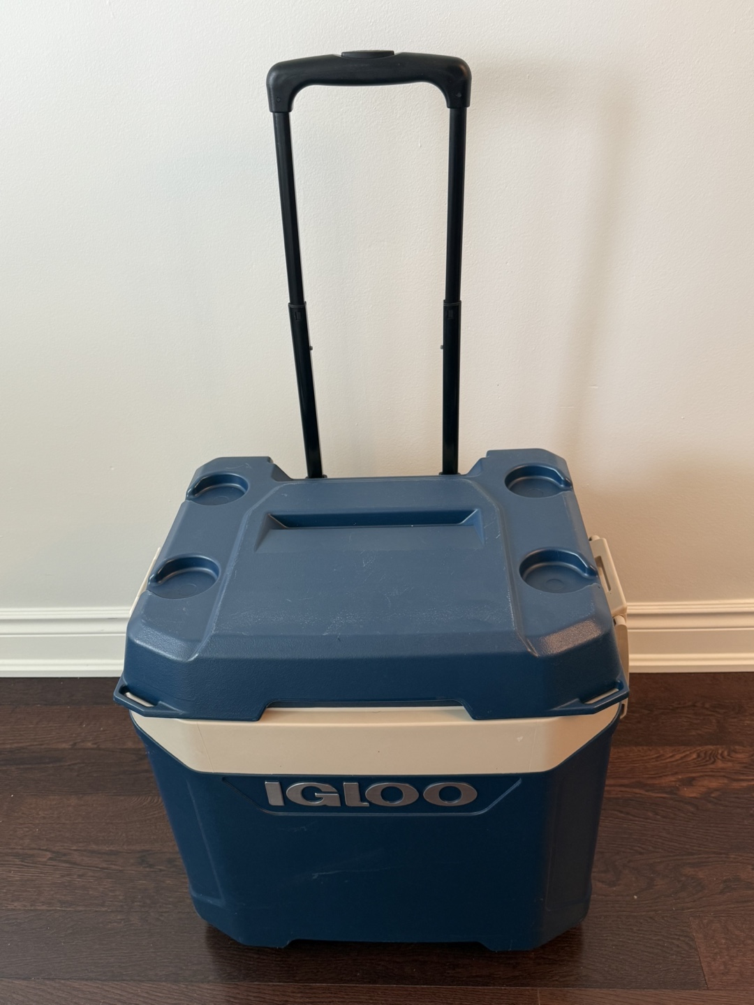 IGLOO COOLER - photo 2
