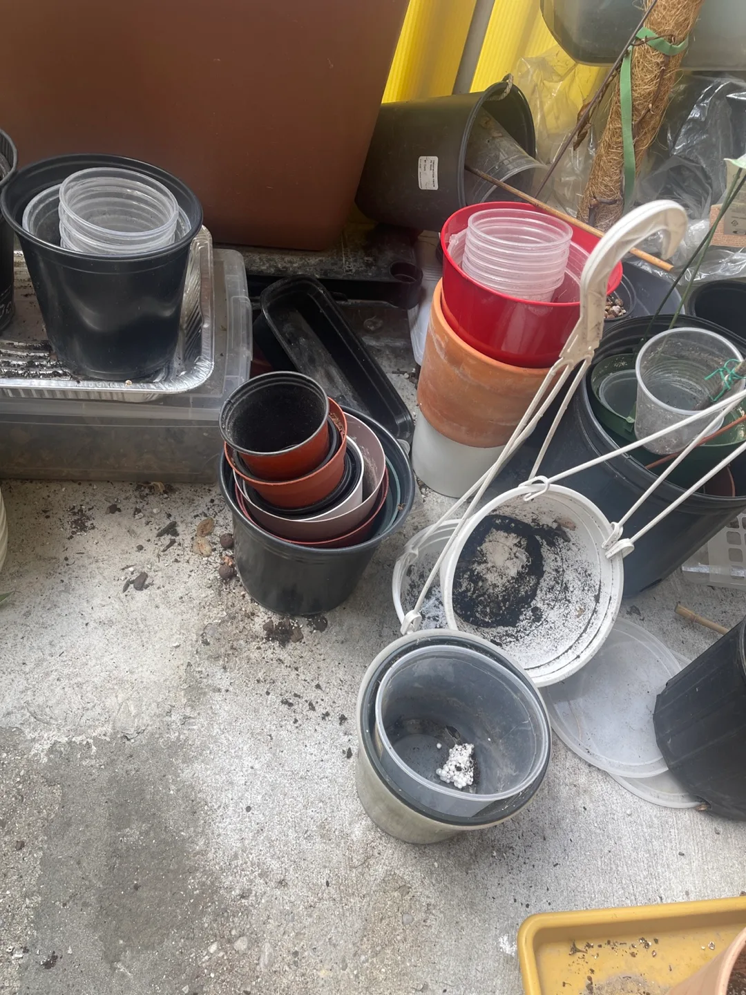 Plant pots thumbnail