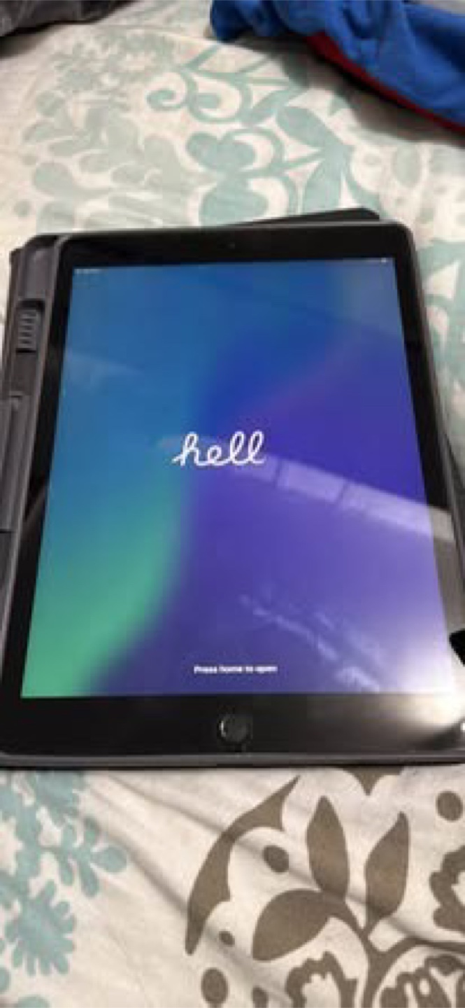 Apple iPad - photo 3