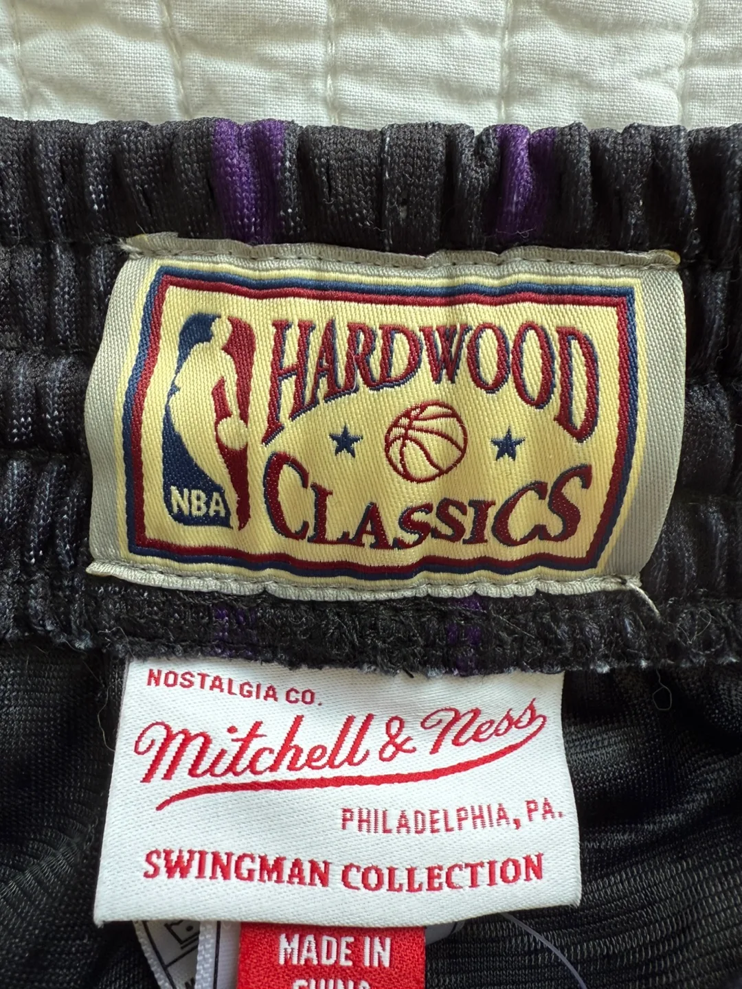 Toronto Raptors Shorts image indicator(2)