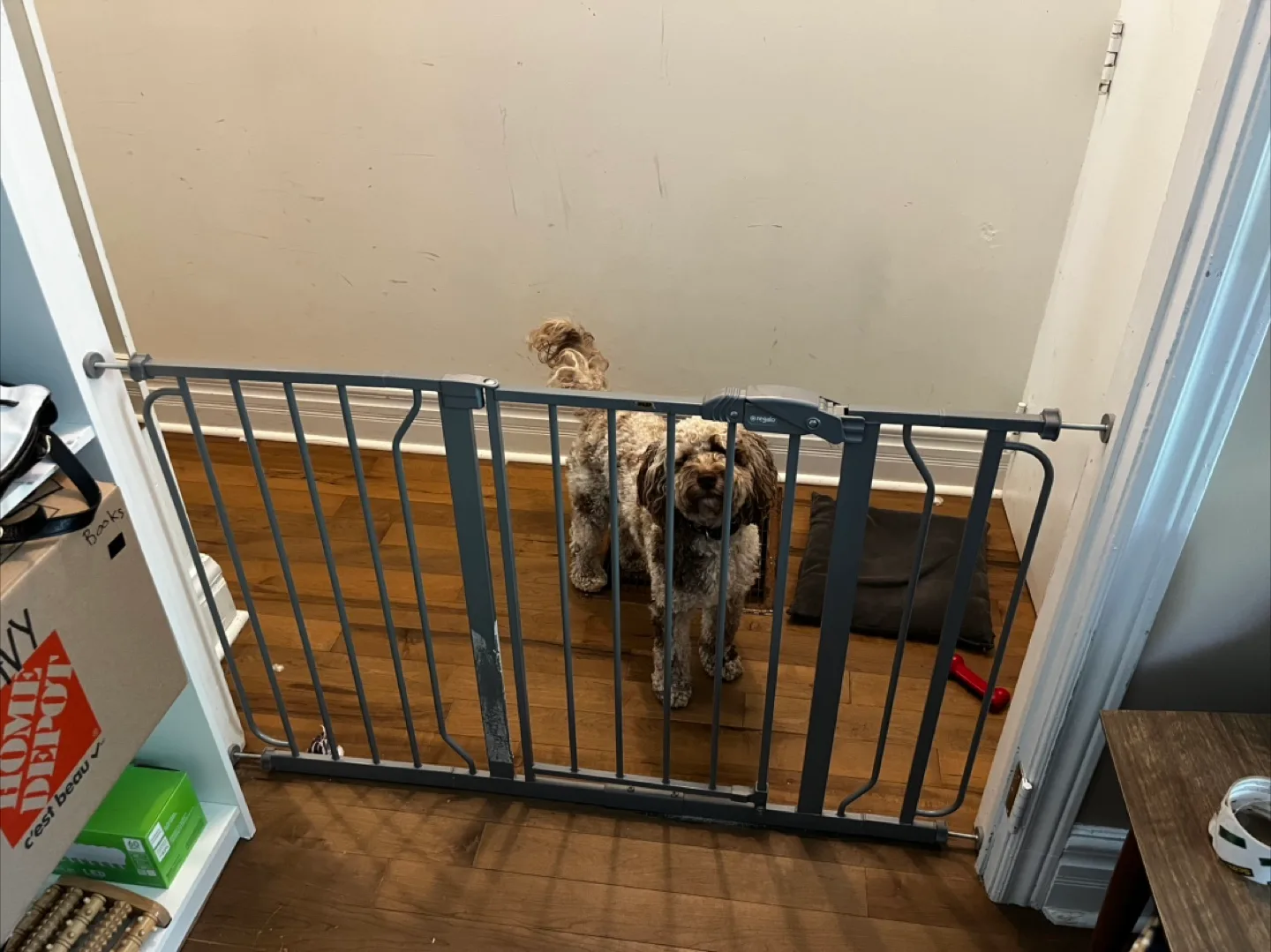 Regalo Easy Step Baby Gate 49” thumbnail