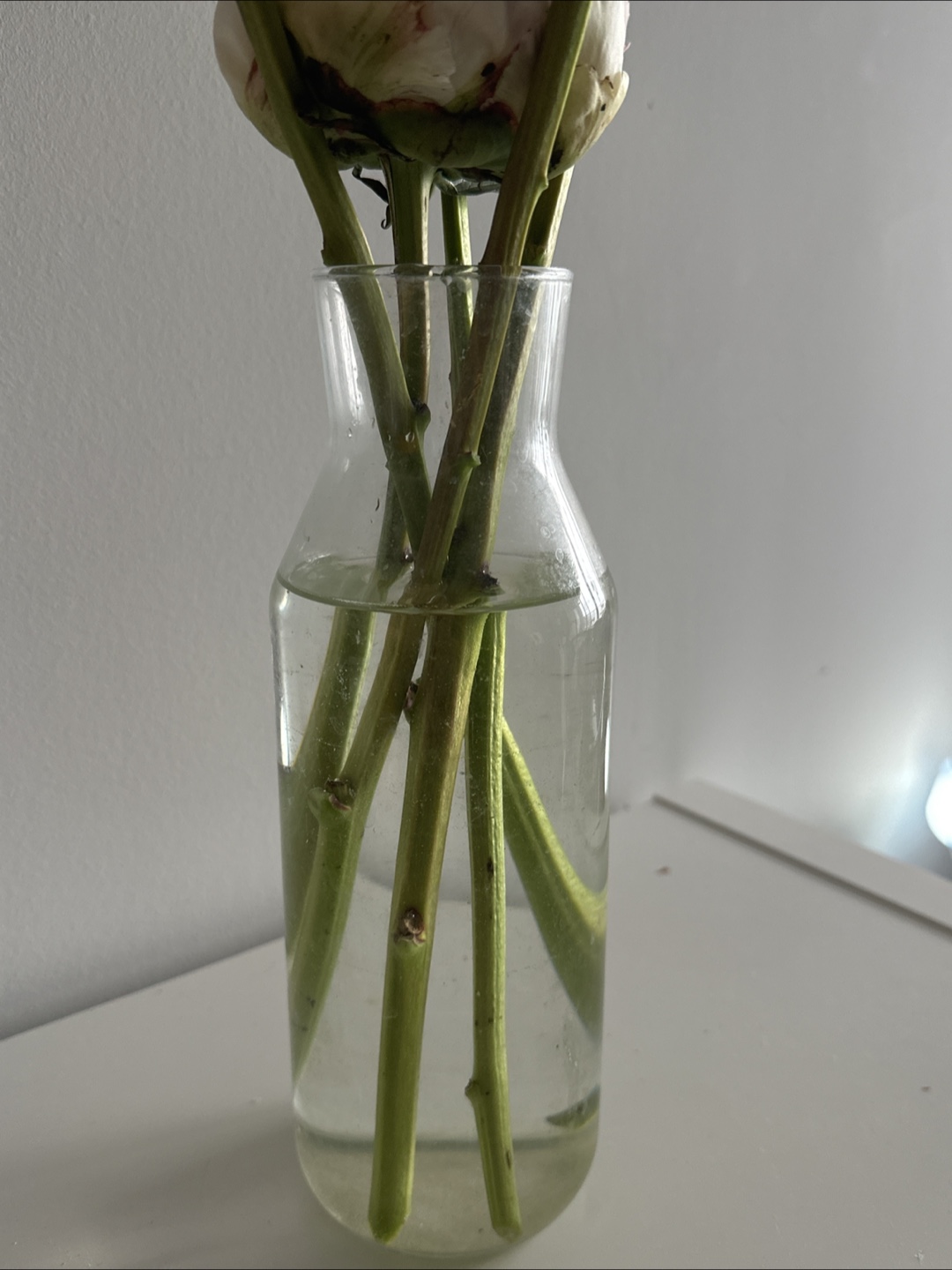 Ceramic Vase （BOGO free glass vase) - photo 2
