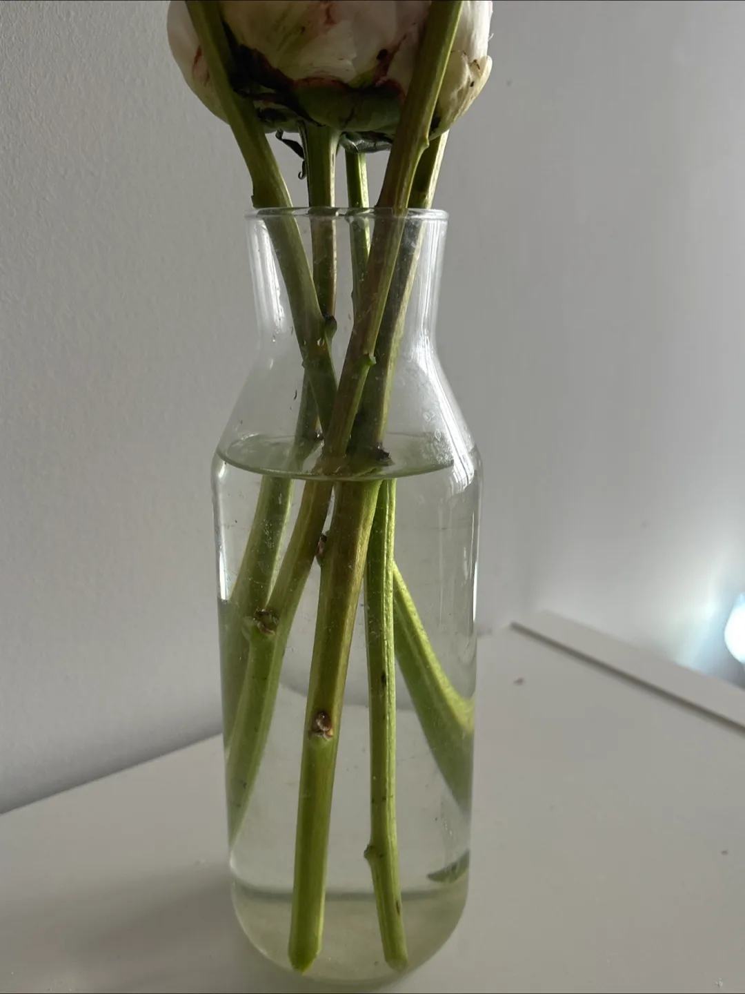 Ceramic Vase （BOGO free glass vase) image indicator(2)