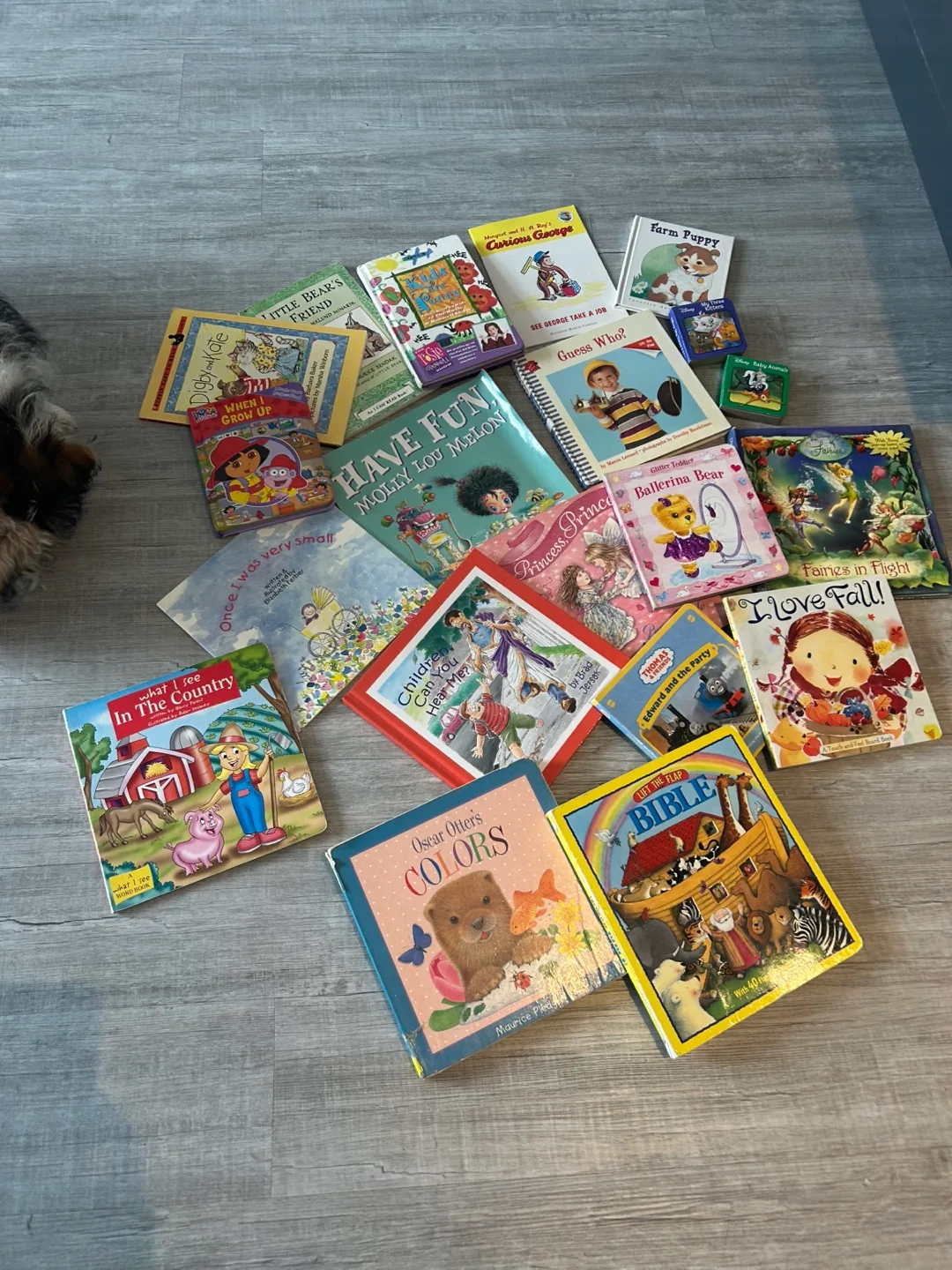Kids' Books Bundle - Assorted Titles thumbnail