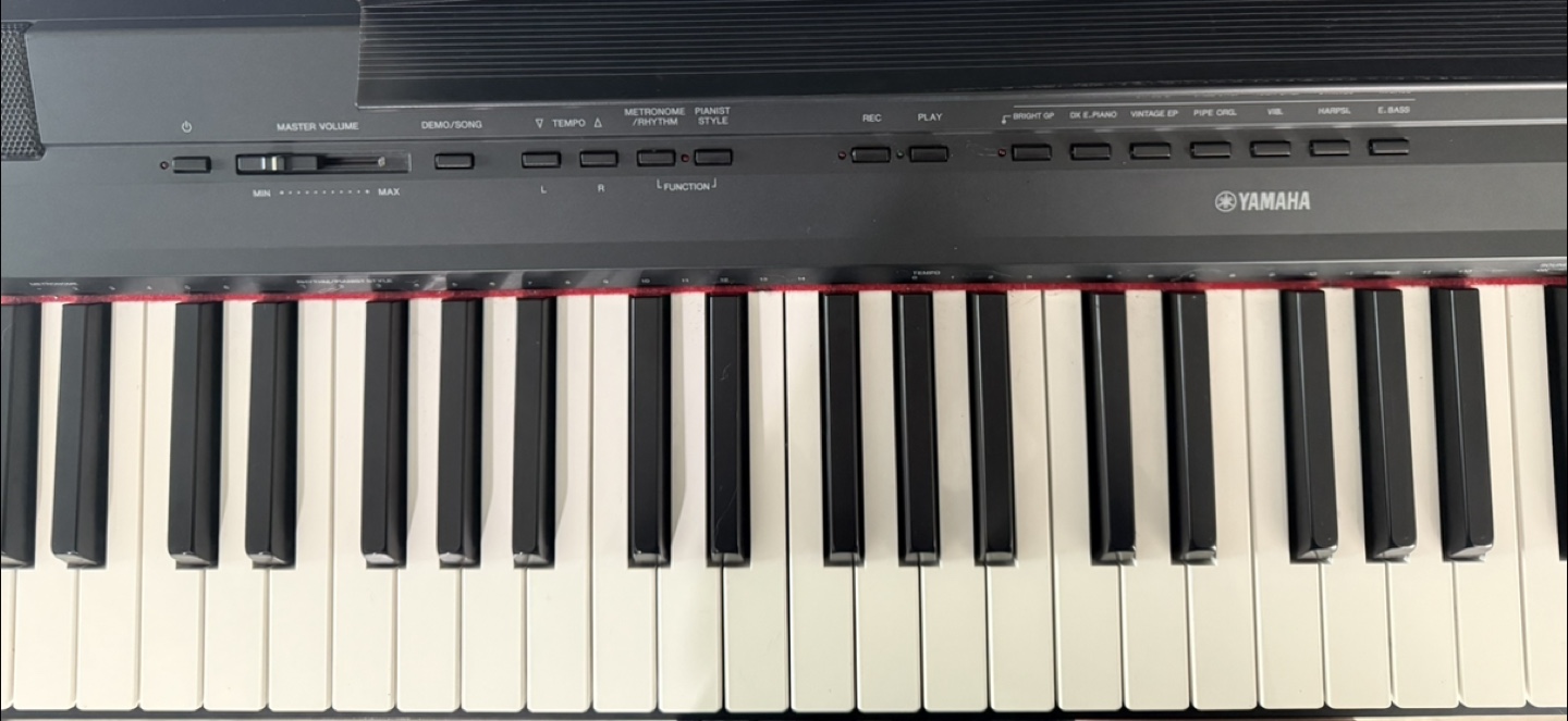 Yamaha Digital Piano P-115 - Great Condition! - photo 3