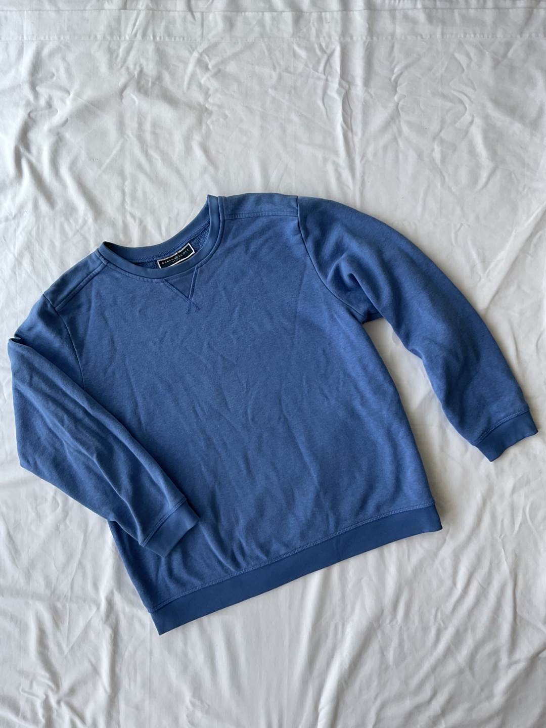 Karen Scott Sport Blue Sweatshirt