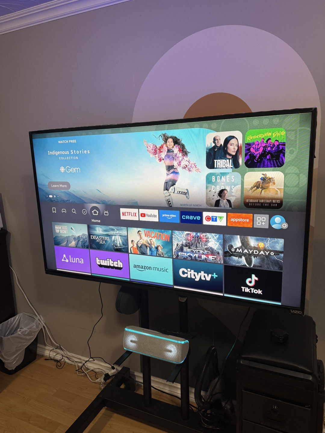 Vizio D50-D1 50" 1080p Smart TV
